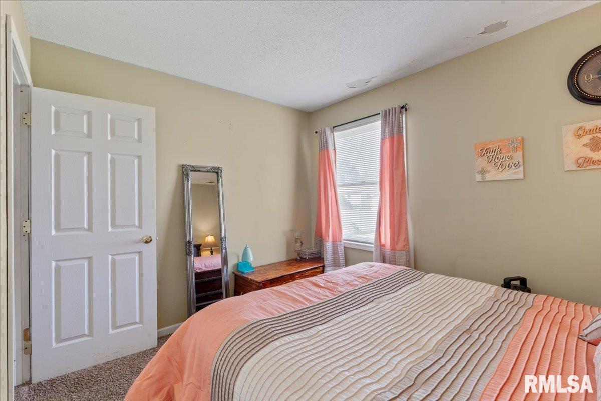 3110 N Pine Street, Davenport, Iowa image 18
