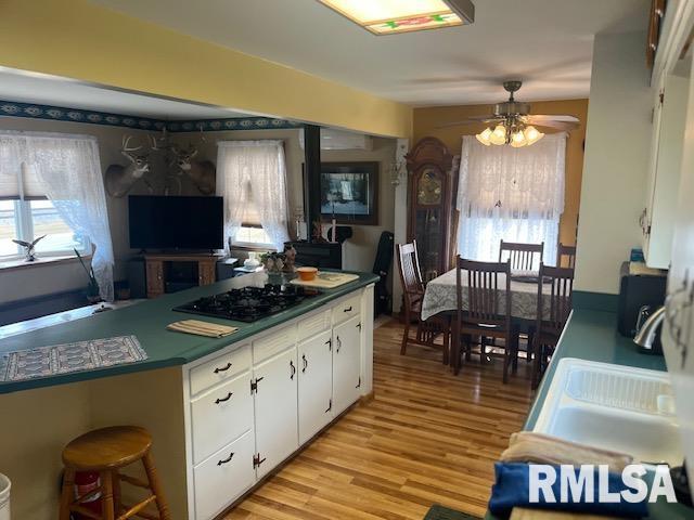 1128 N Cody Road, Le Claire, Iowa image 11
