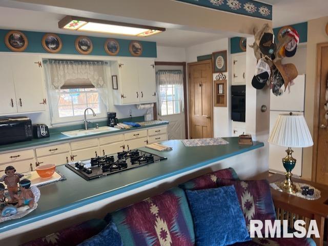 1128 N Cody Road, Le Claire, Iowa image 12