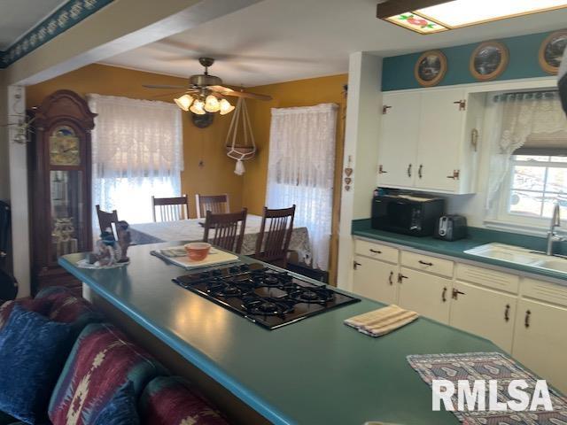 1128 N Cody Road, Le Claire, Iowa image 13