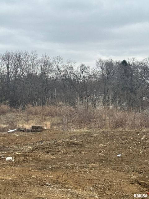 Vacant Land For Sale - 51 Firefly Court<br/> Chatham, IL 62629
