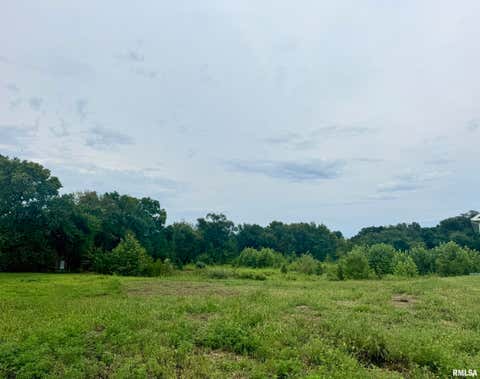 Vacant Land For Sale - 51 Firefly Court<br/> Chatham, IL 62629