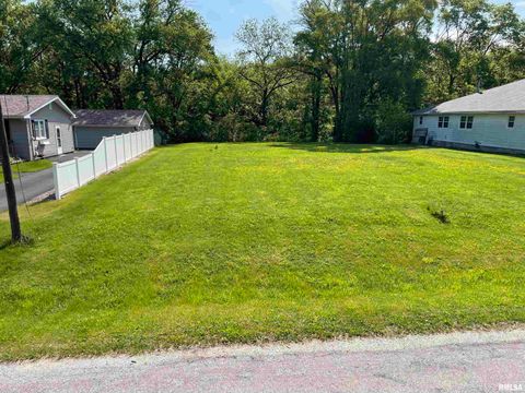 Vacant Land For Sale - 11207 22nd Street<br/> Milan, IL 61264