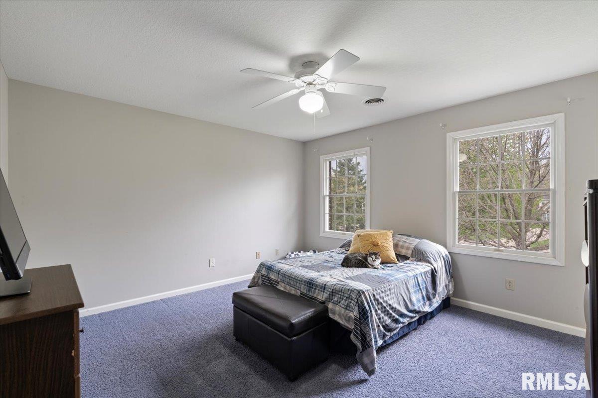 4 Pinehurst Court, Coal Valley, Illinois image 34