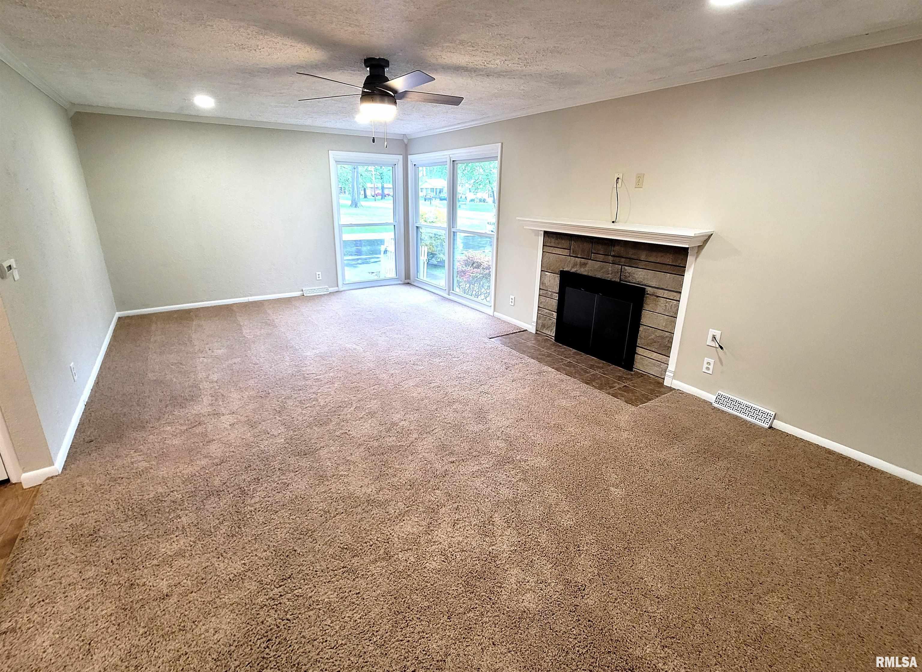 219 Oak Tree Avenue, Salem, Illinois image 10