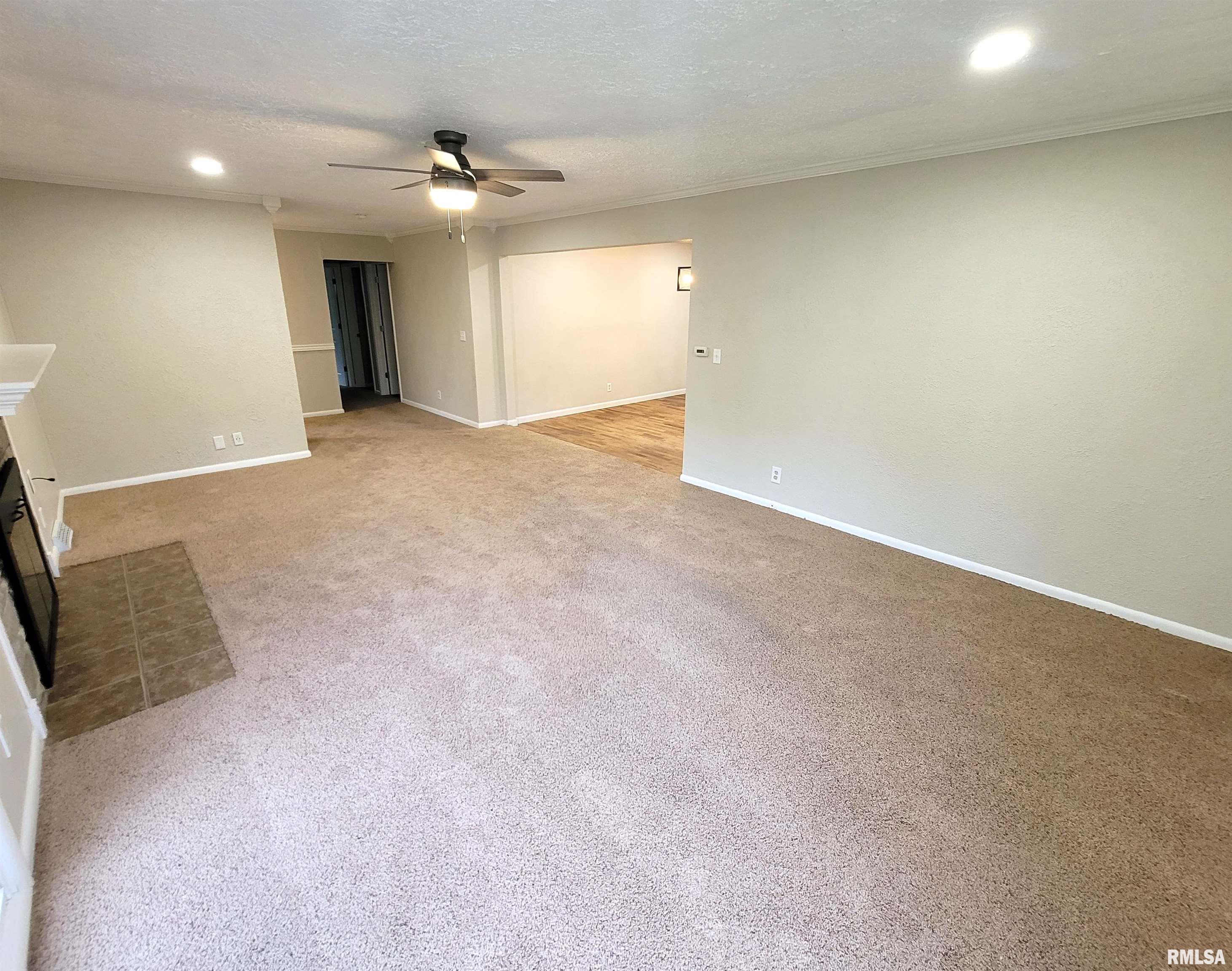 219 Oak Tree Avenue, Salem, Illinois image 12