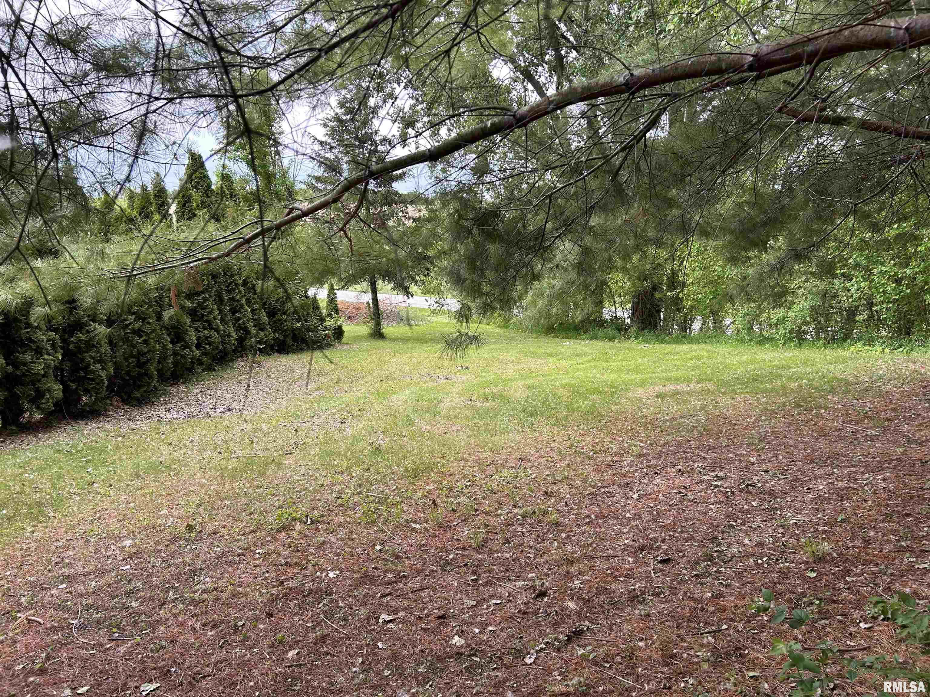22954 245th Street, Eldridge, Iowa image 3