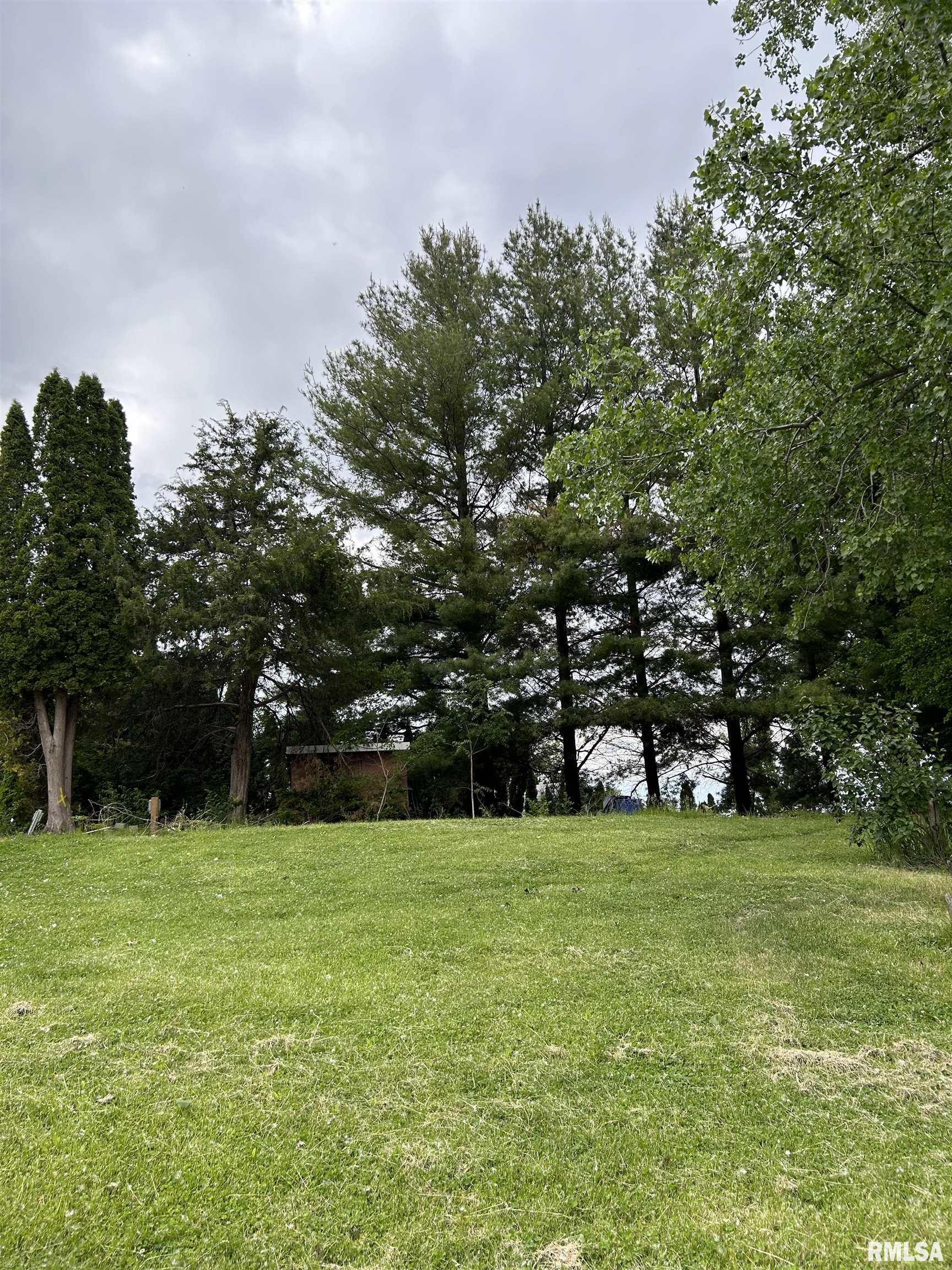 22954 245th Street, Eldridge, Iowa image 9
