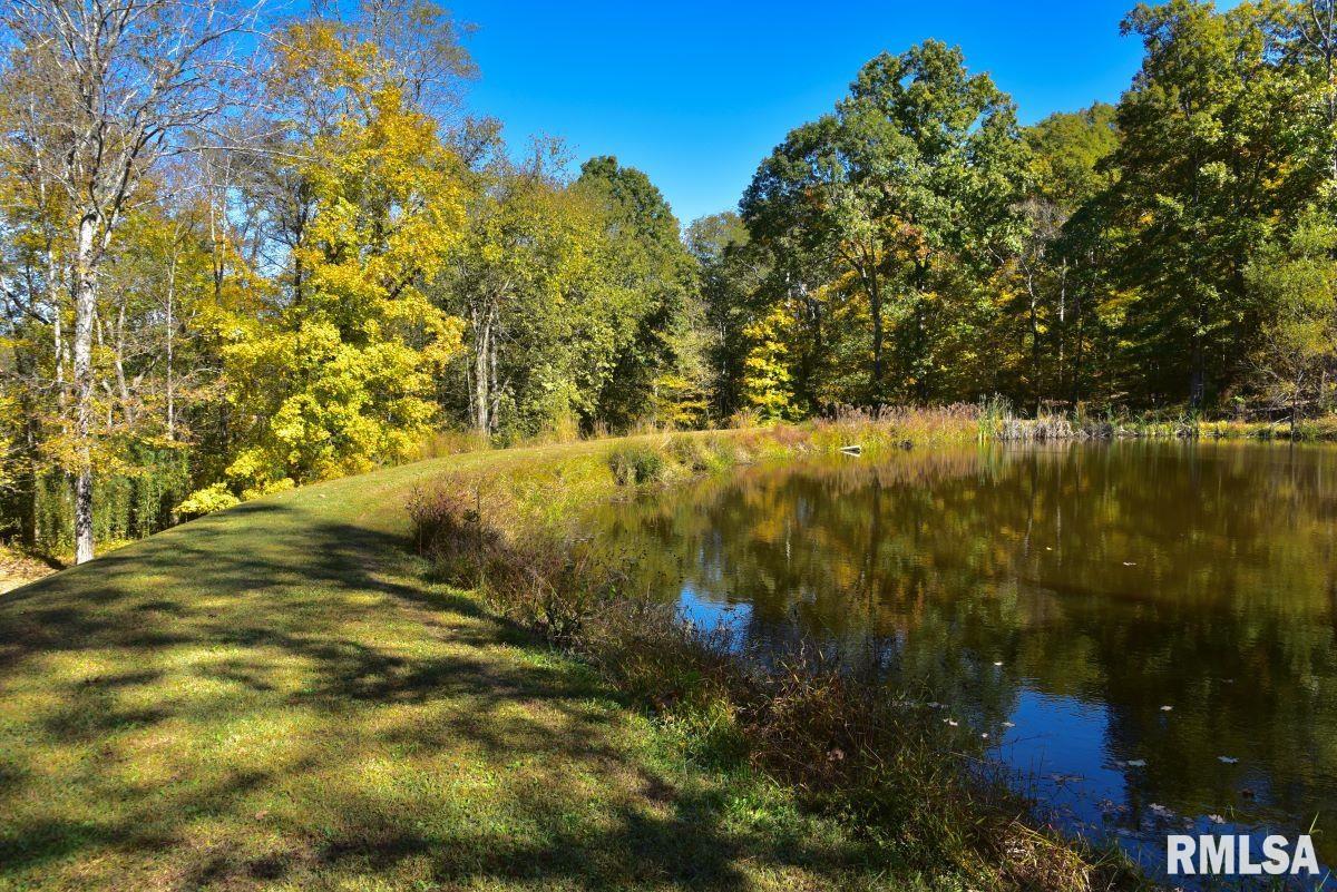 3220 Pleasant Ridge Road, Vienna, Illinois image 34