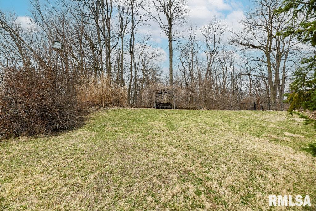 4644 W Hetherwood Drive, Peoria, Illinois image 47