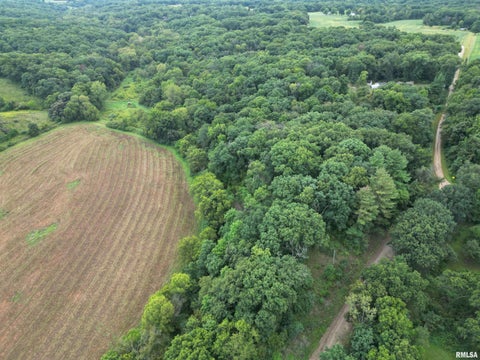 Vacant Land For Sale - Birds Corner Road<br/> Glasford, IL 61533