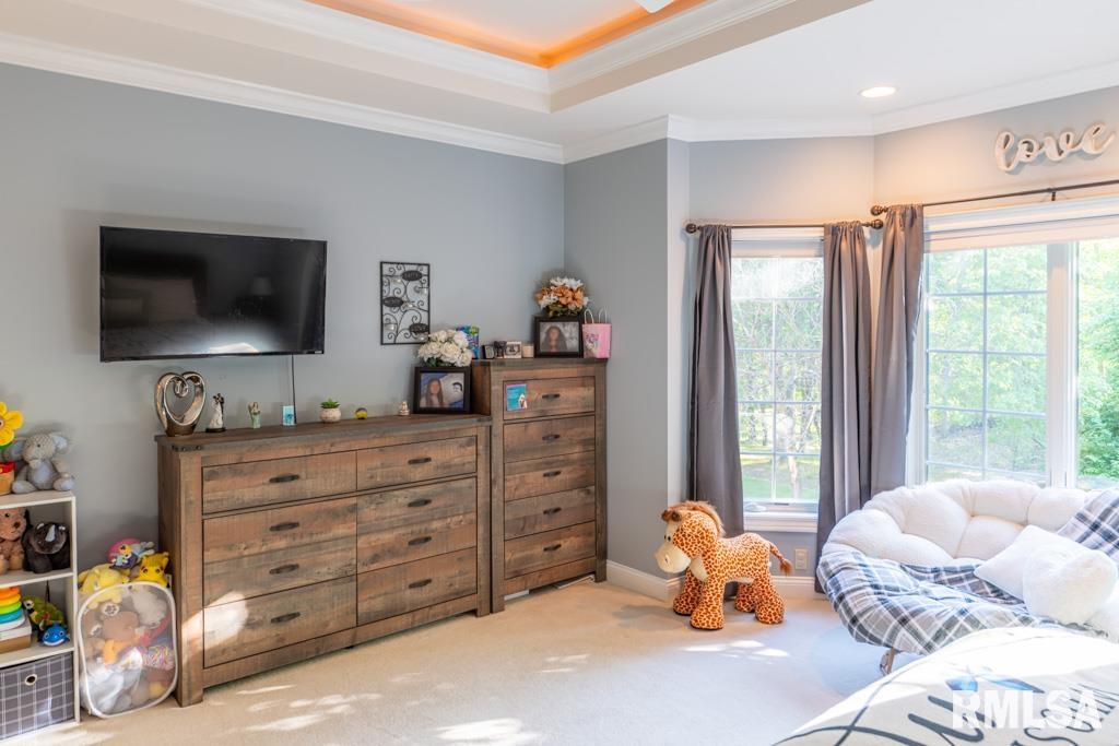 6 Wildwood Court, Washington, Illinois image 39