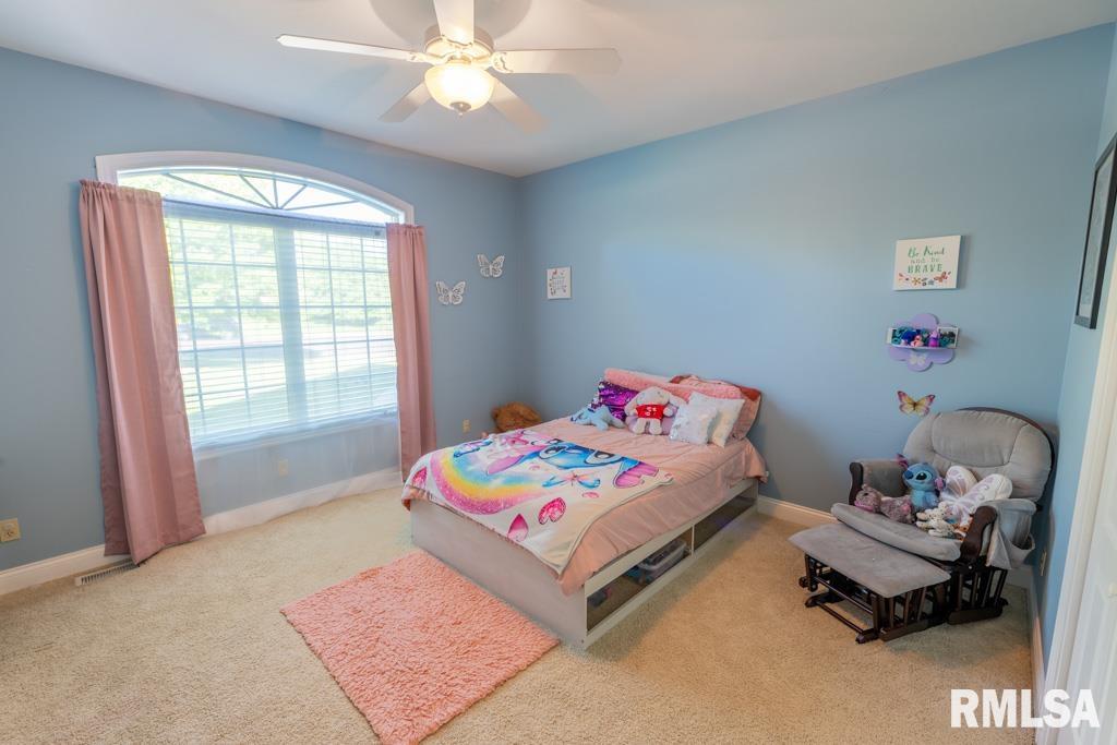 6 Wildwood Court, Washington, Illinois image 48
