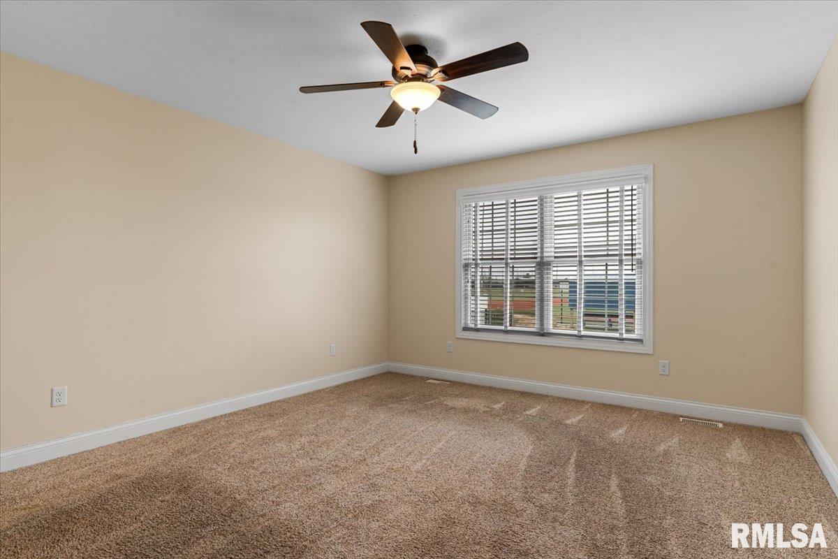 1809 Spartan Drive, Chatham, Illinois image 15