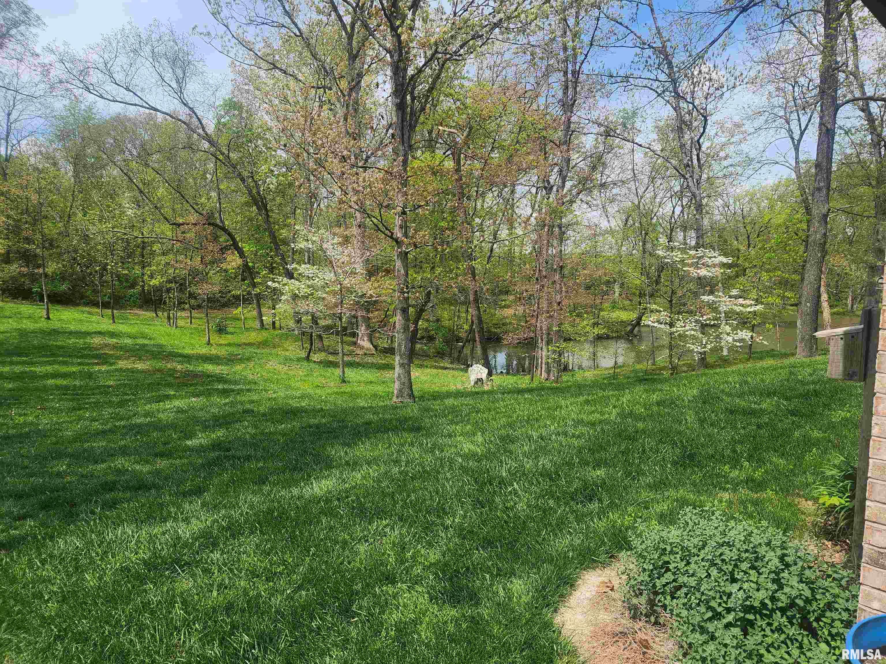 4339 State Route 127 Highway, Pinckneyville, Illinois image 15