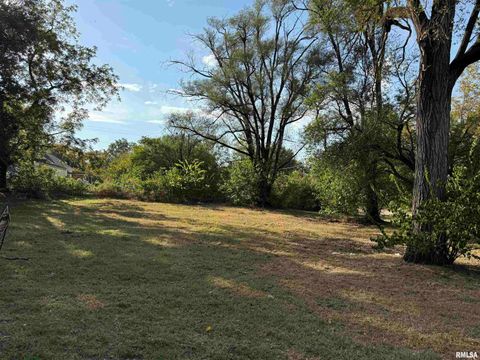Vacant Land For Sale - 702&704 S Coleman Street<br/> Havana, IL 62644