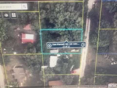 Vacant Land For Sale - 313 Johnson Road<br/> Meredosia, IL 62665