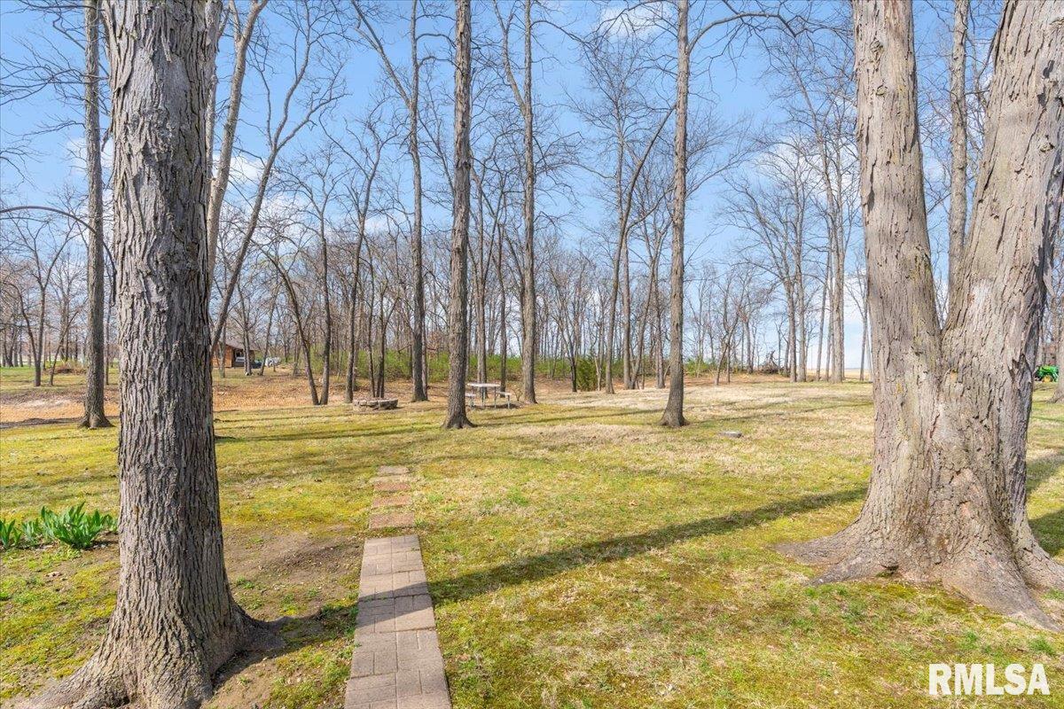 15674 N Lake Road, Girard, Illinois image 32