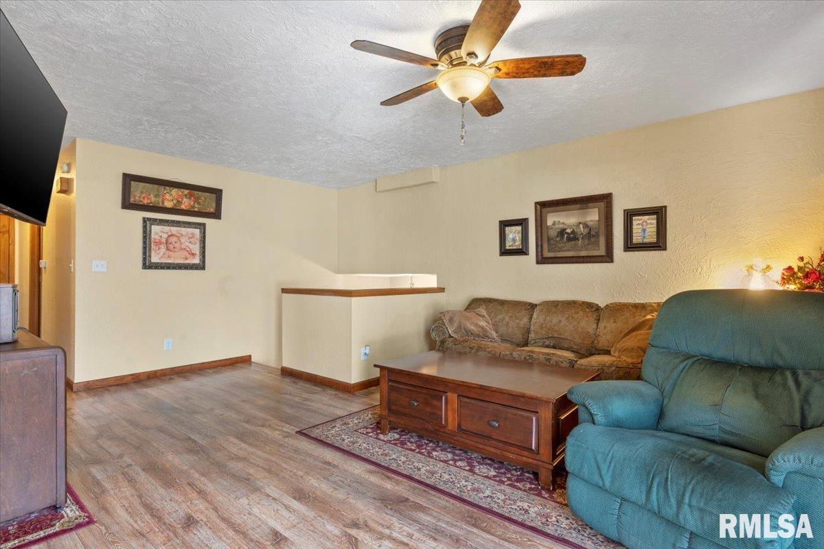 15674 N Lake Road, Girard, Illinois image 6