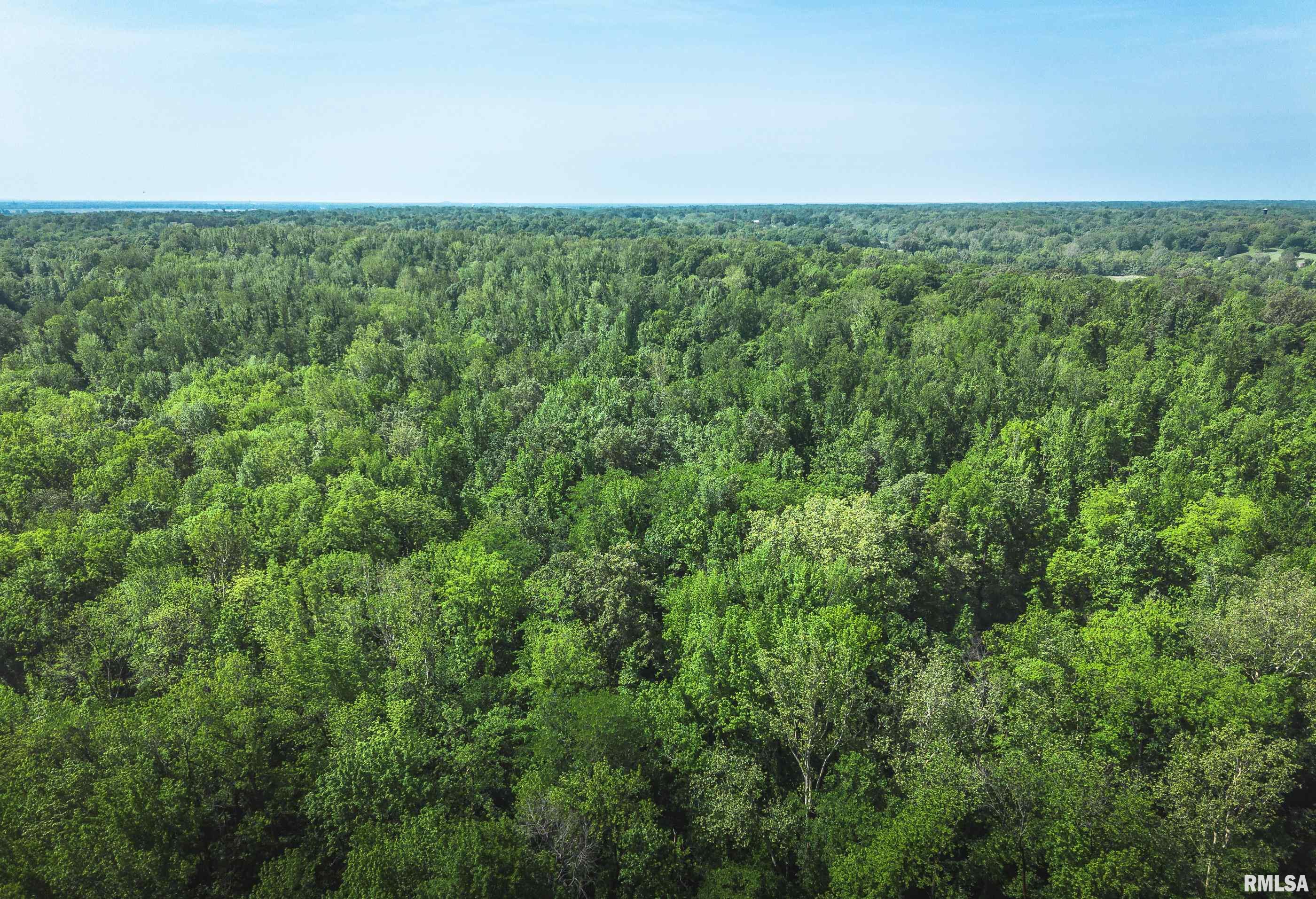 000 Olmstead Road, Villa Ridge, Illinois image 19