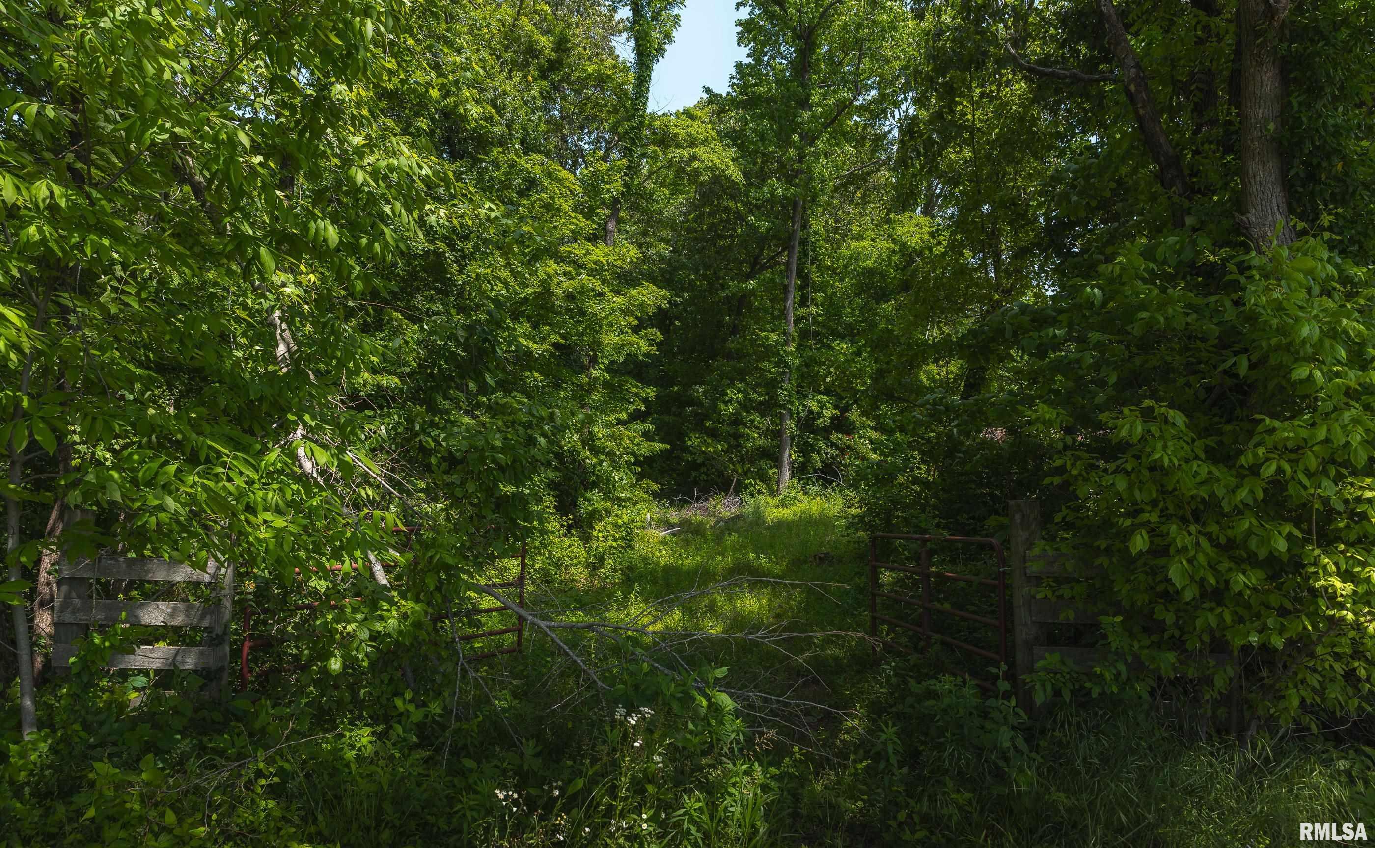 000 Olmstead Road, Villa Ridge, Illinois image 3