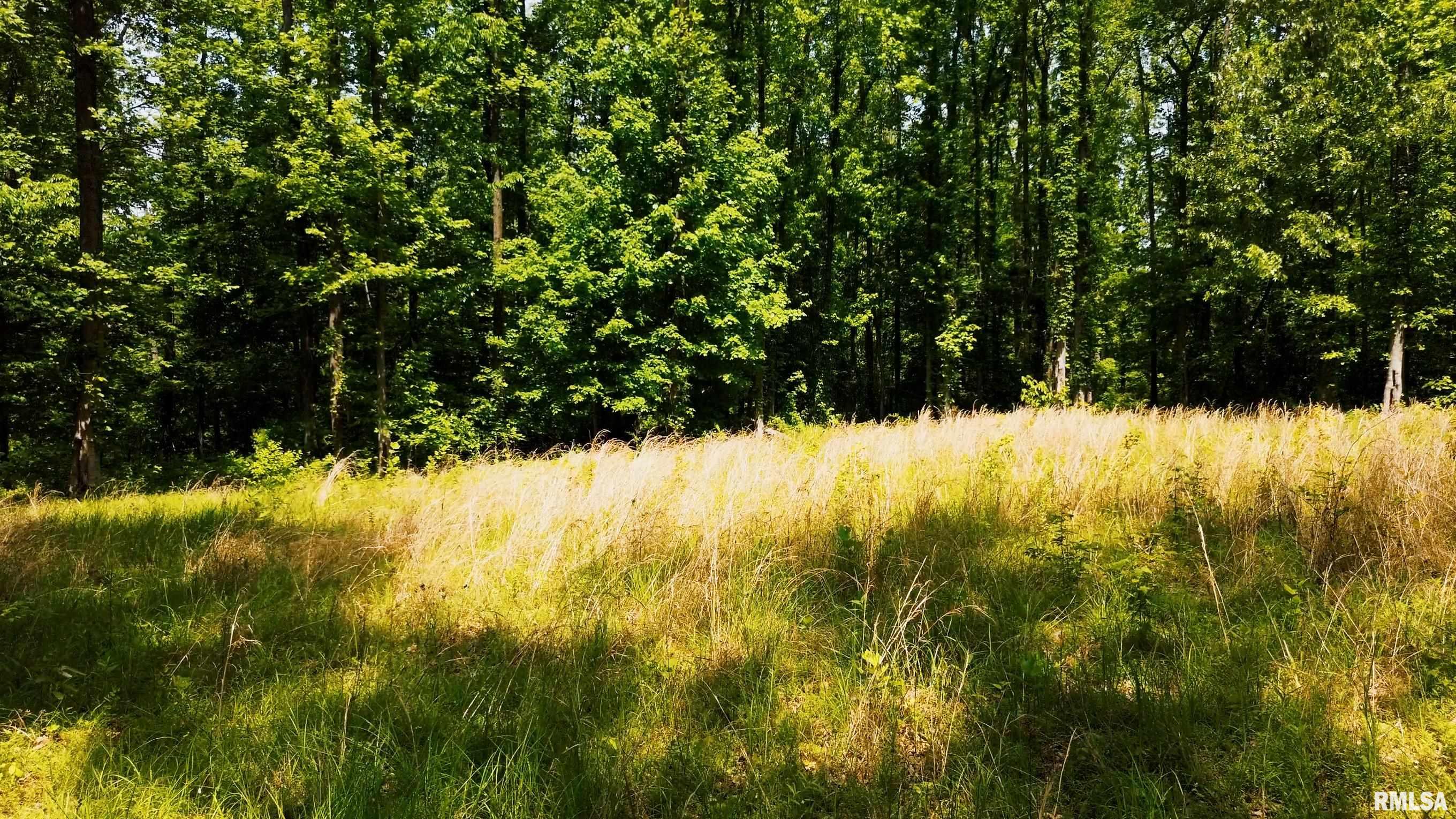 000 Olmstead Road, Villa Ridge, Illinois image 16