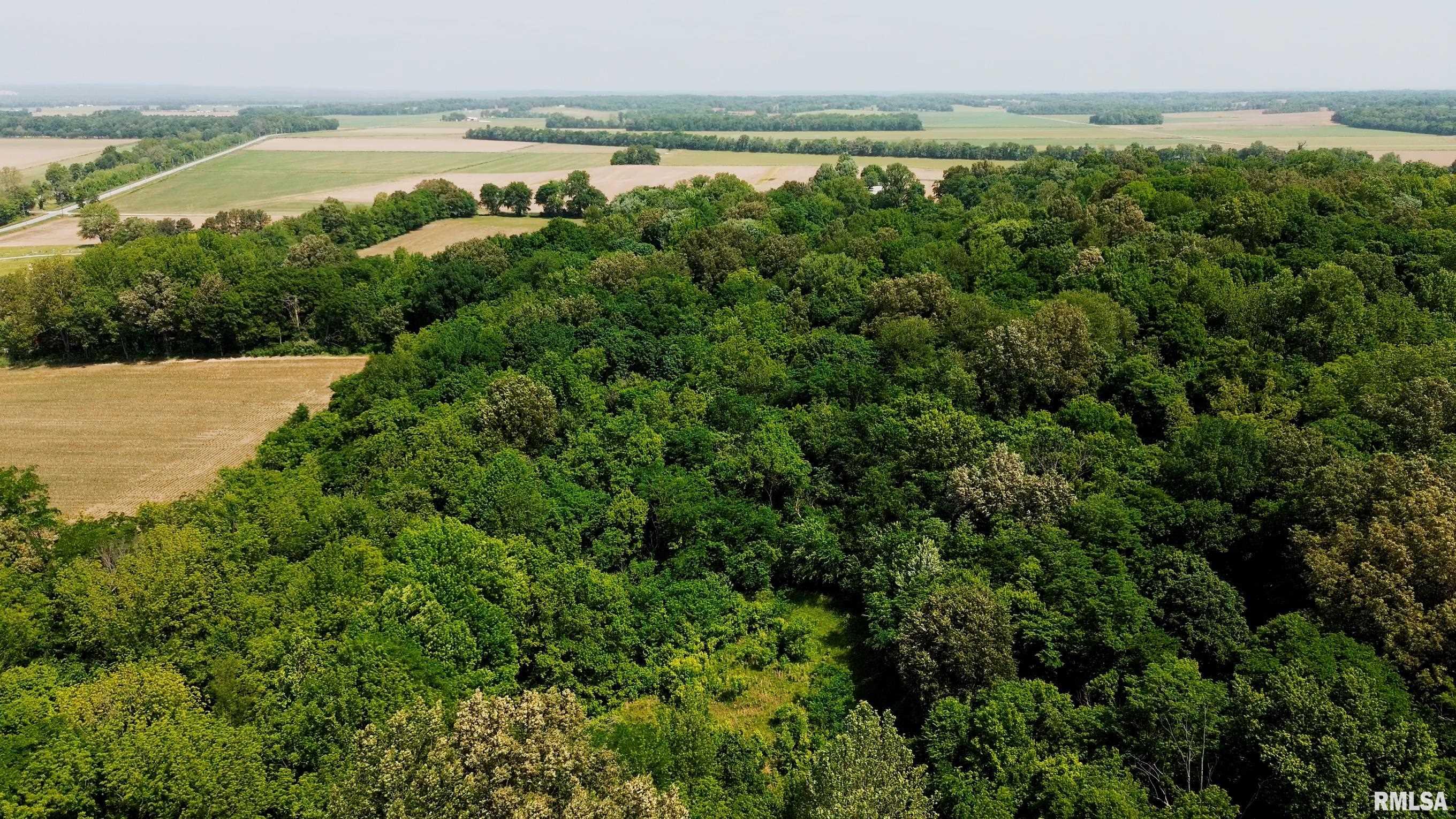 000 Olmstead Road, Villa Ridge, Illinois image 18