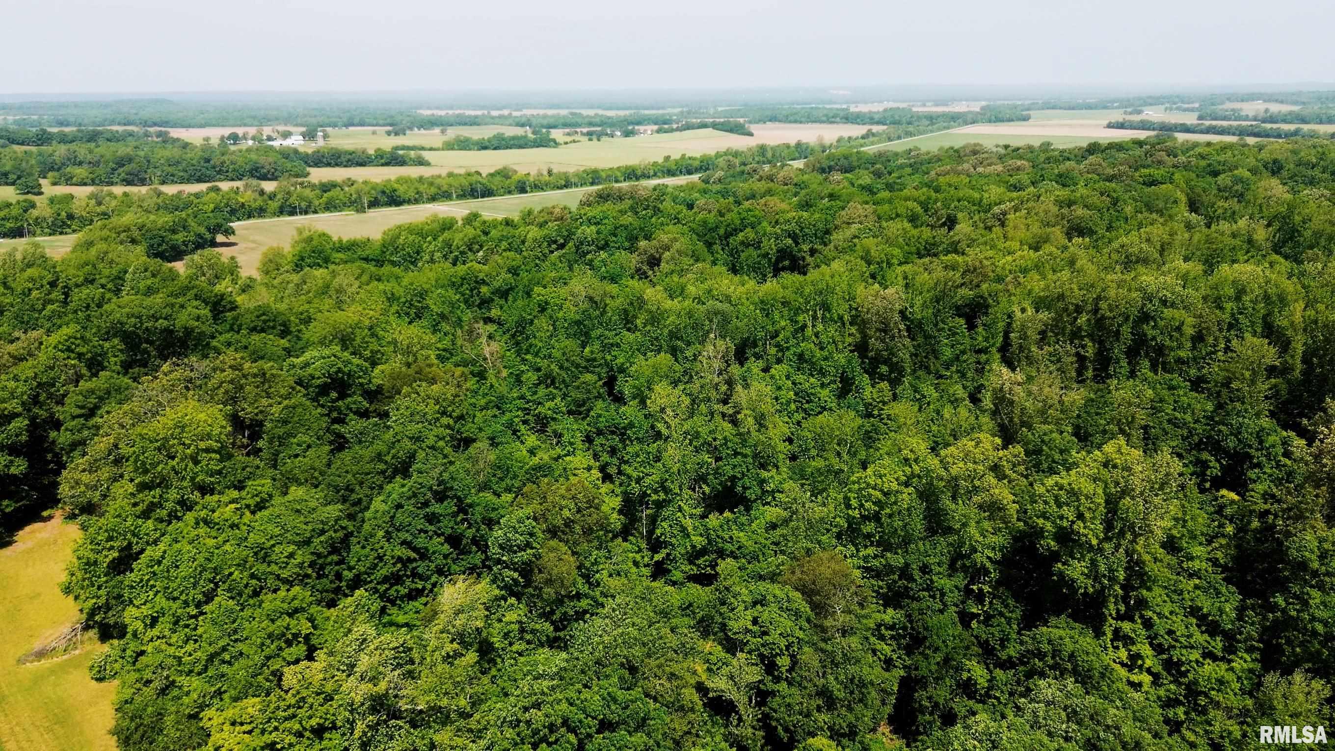000 Olmstead Road, Villa Ridge, Illinois image 13