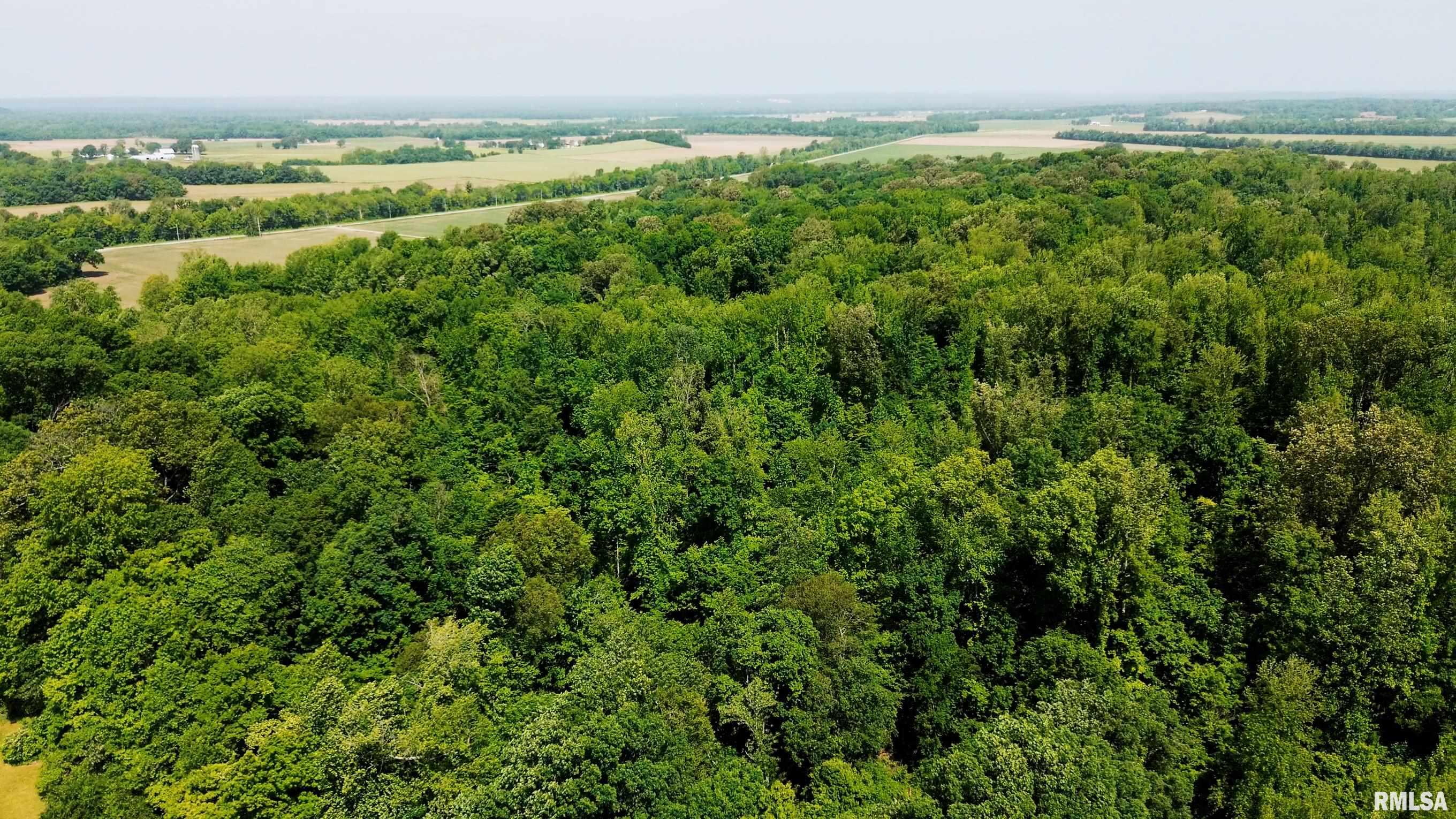 000 Olmstead Road, Villa Ridge, Illinois image 14