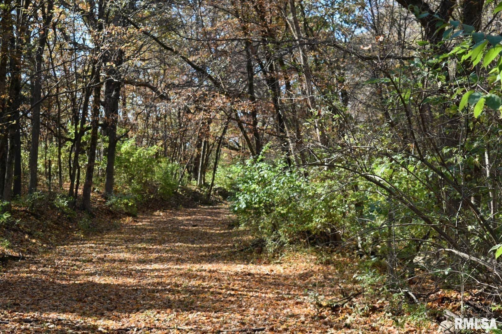 000 N Ivy Lake Road, Chillicothe, Illinois image 35