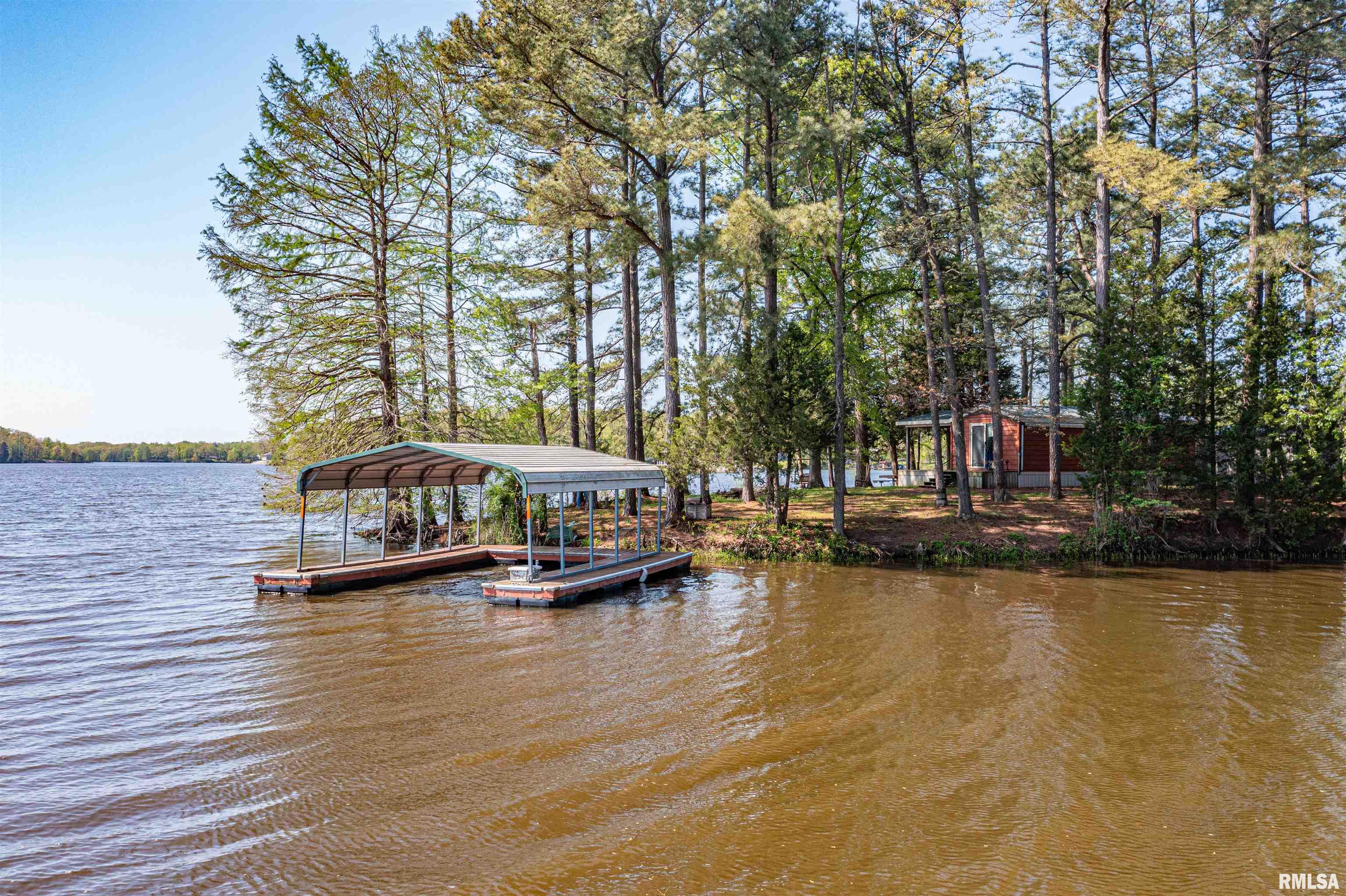 2355 Waverunner Cove Cove, Salem, Illinois image 2