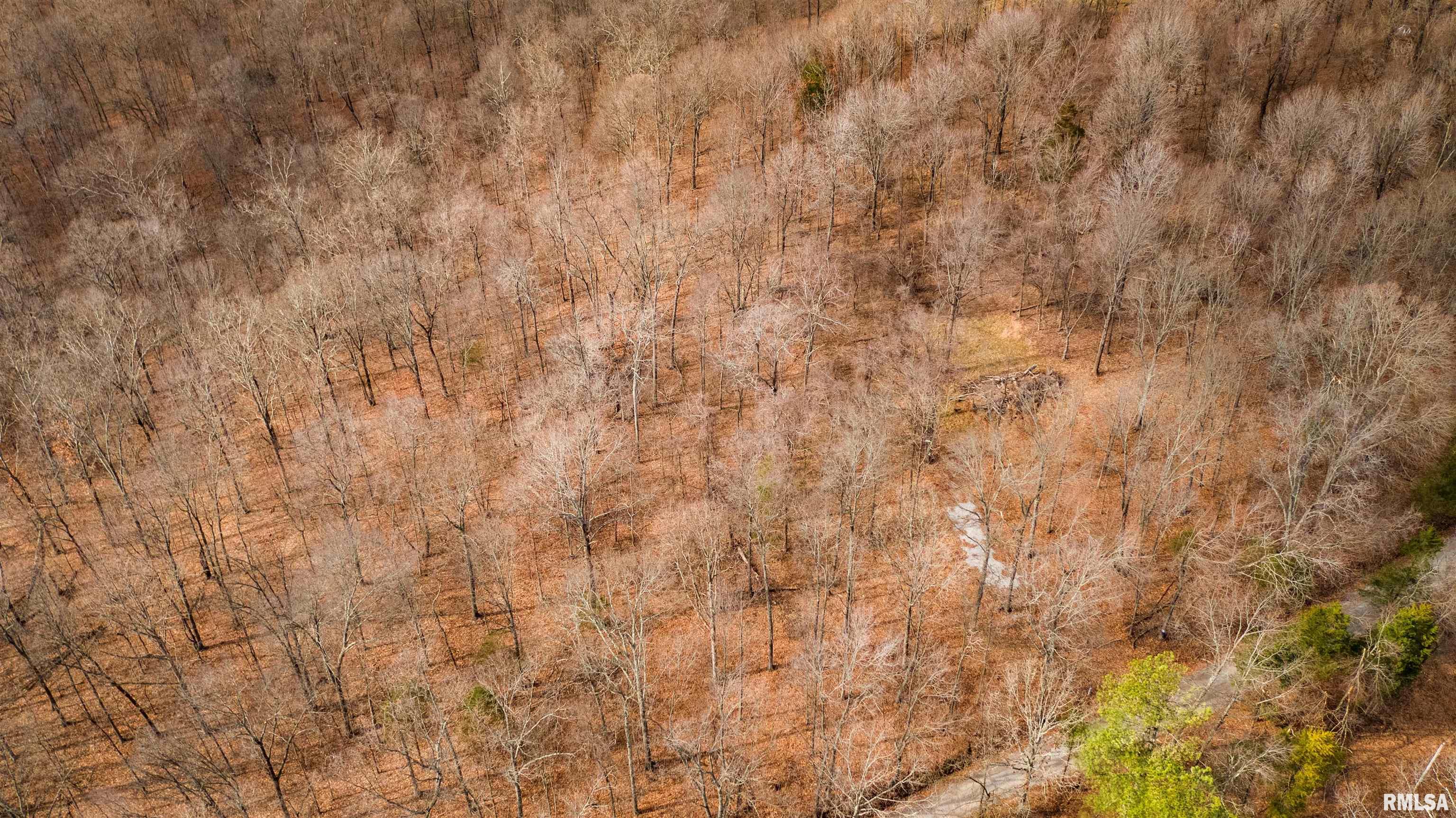 Sheppard Lane, Makanda, Illinois image 9