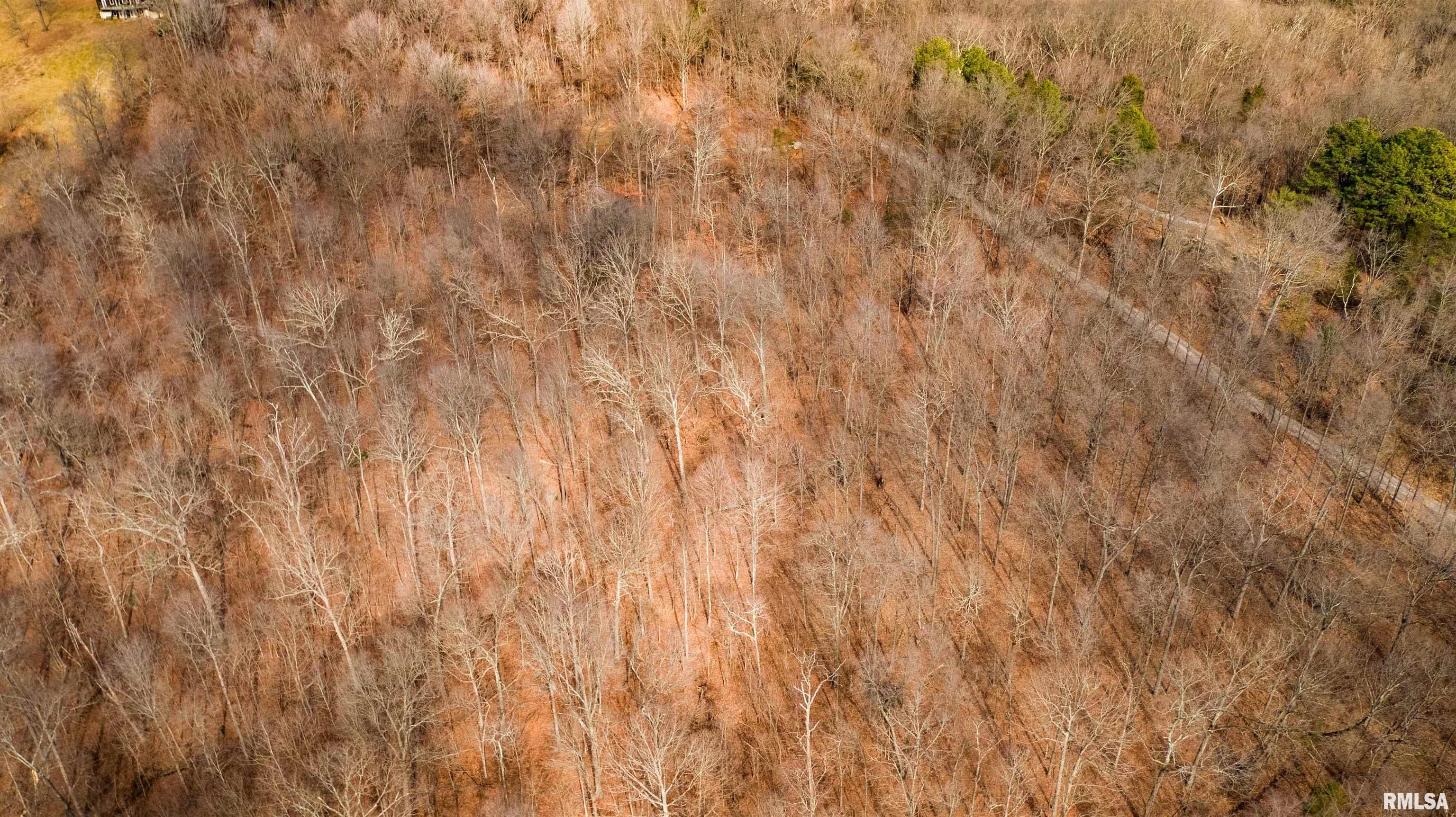 Sheppard Lane, Makanda, Illinois image 8