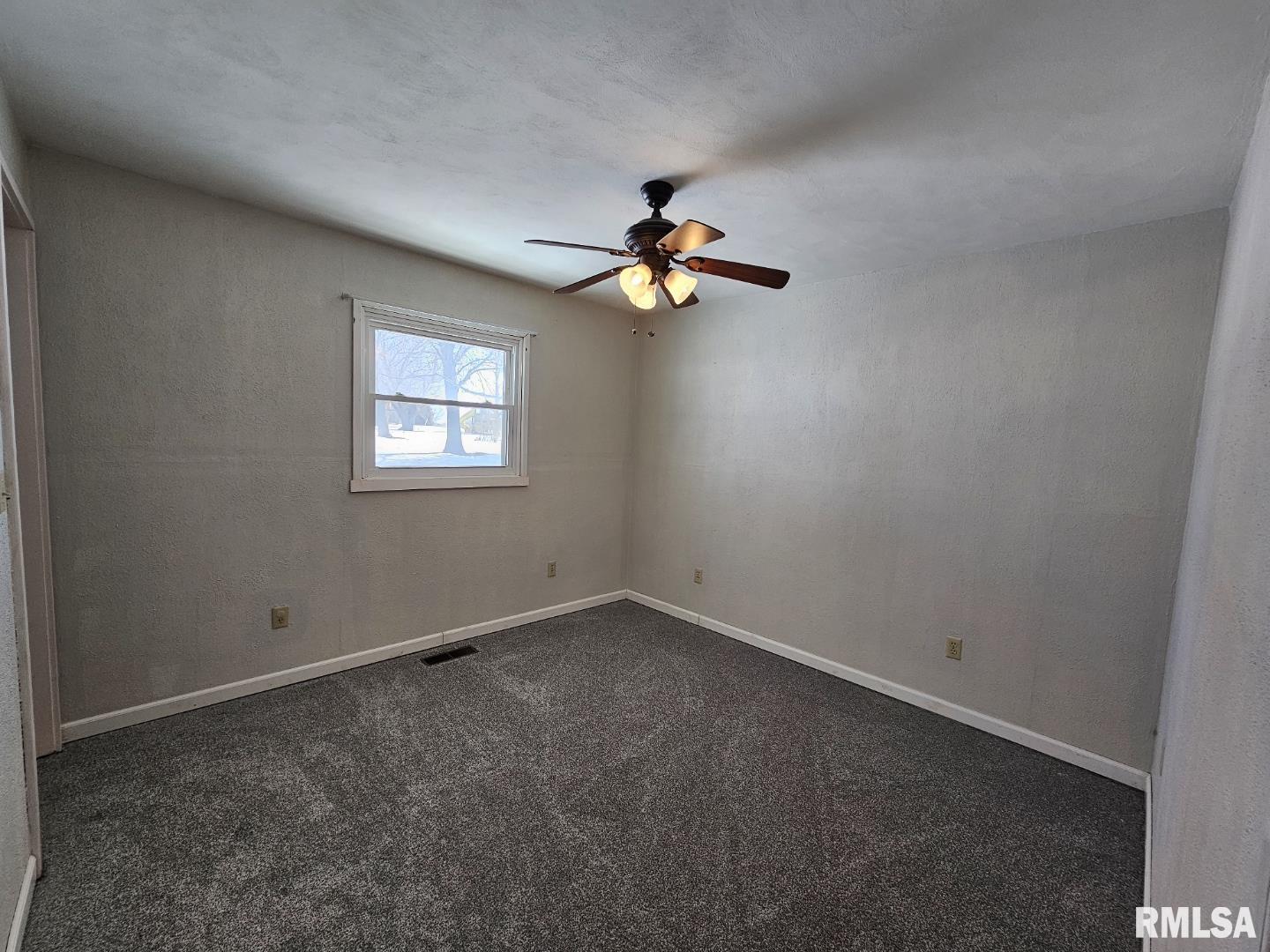 1382 W Stacey Road, Richview, Illinois image 29