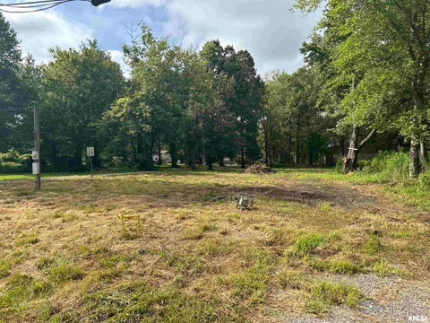 Vacant Land For Sale - 1207 Gentile Street<br/> Colp, IL 62921