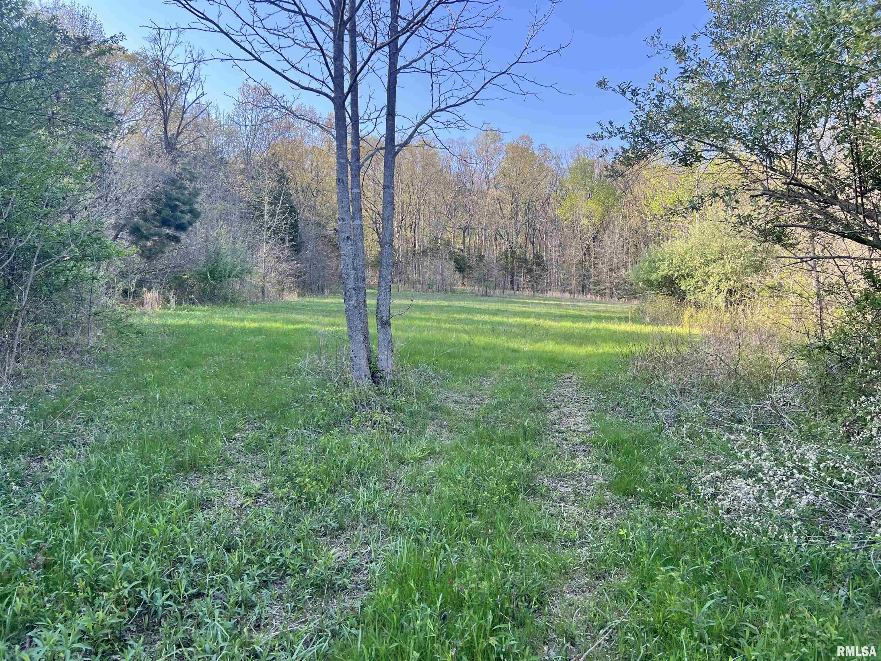 115 Whippoorwill Lane, Simpson, Illinois image 29