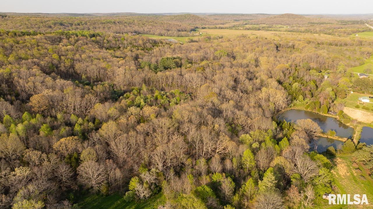 115 Whippoorwill Lane, Simpson, Illinois image 23