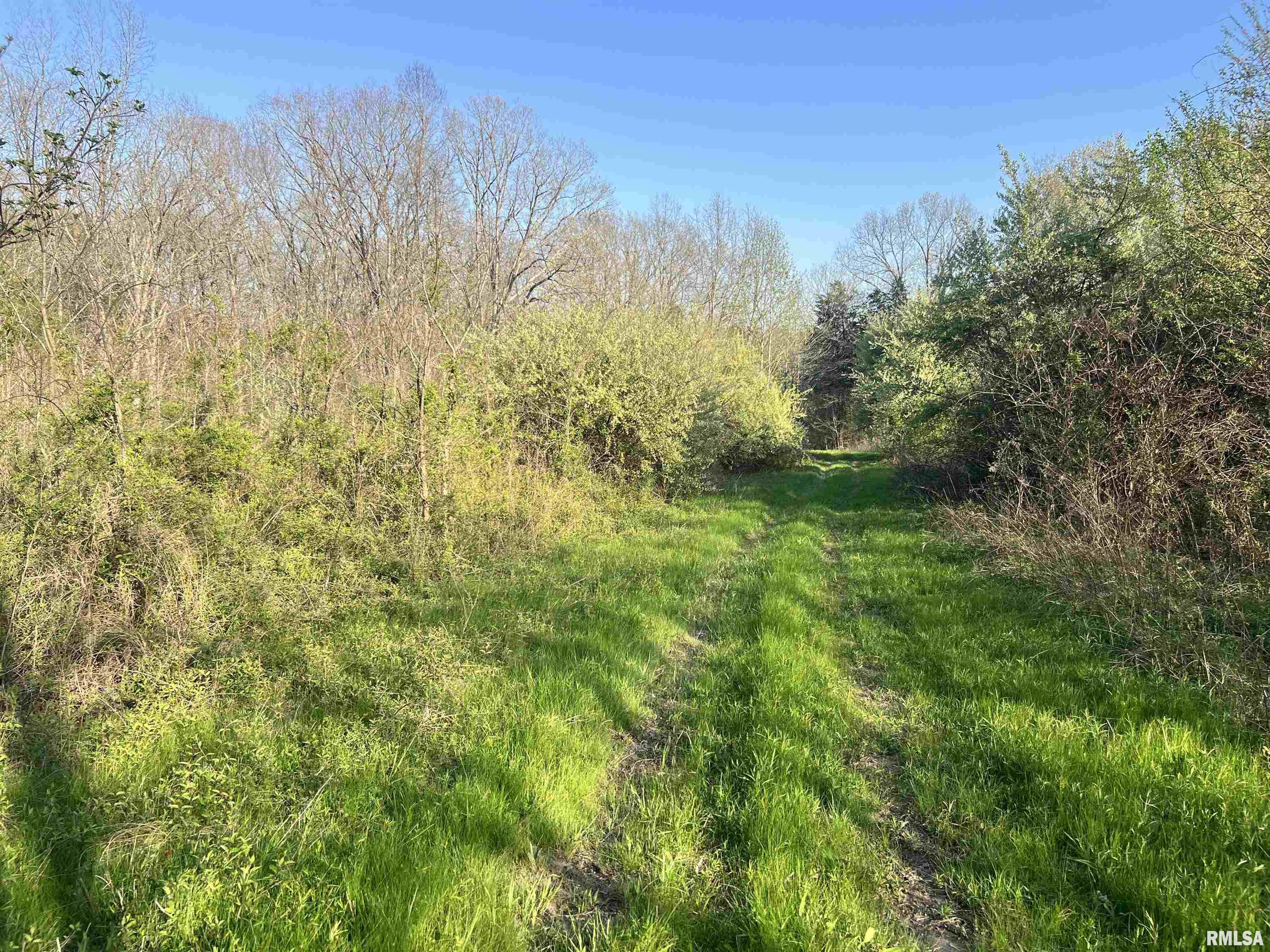 115 Whippoorwill Lane, Simpson, Illinois image 28