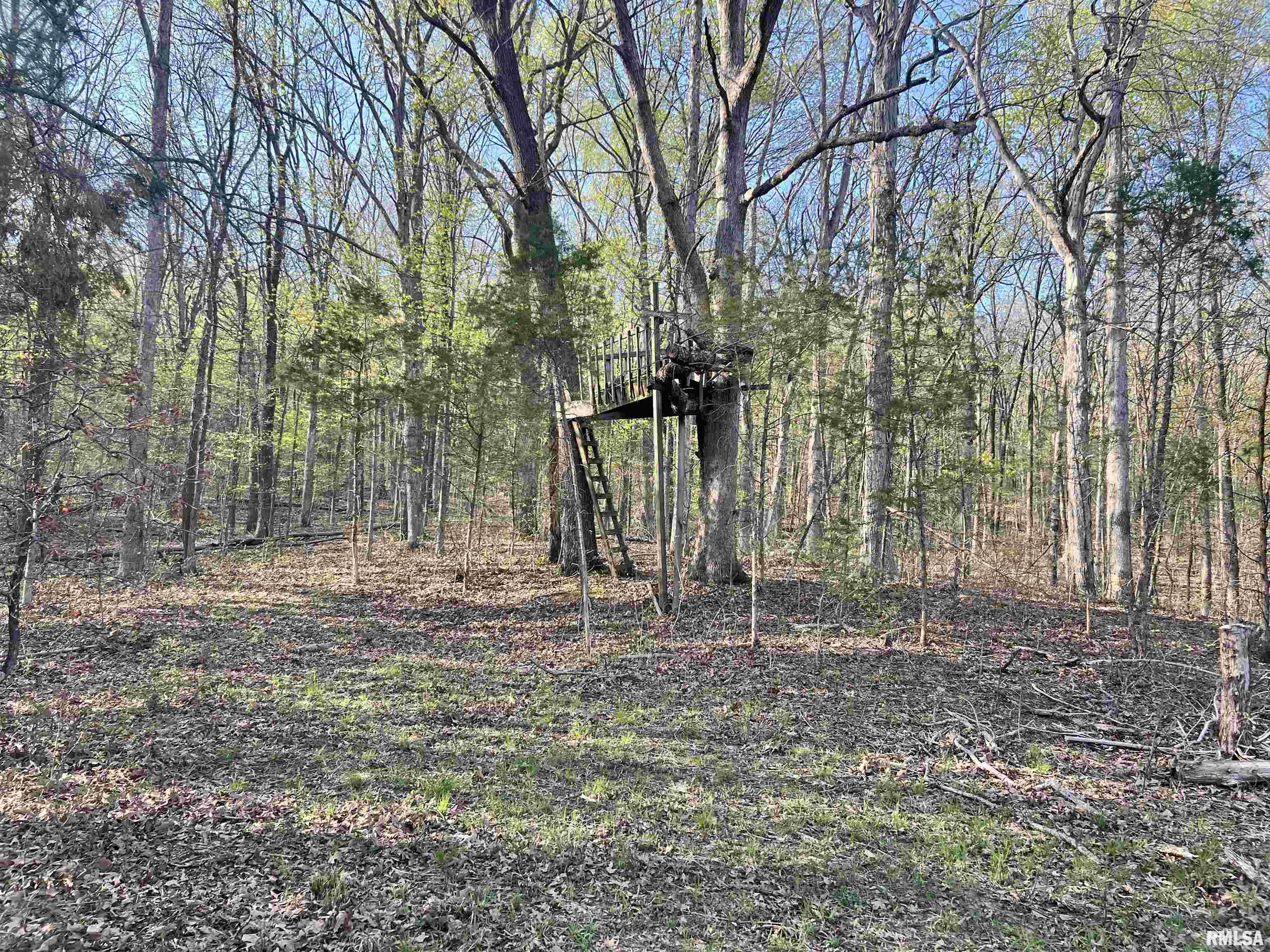 115 Whippoorwill Lane, Simpson, Illinois image 31