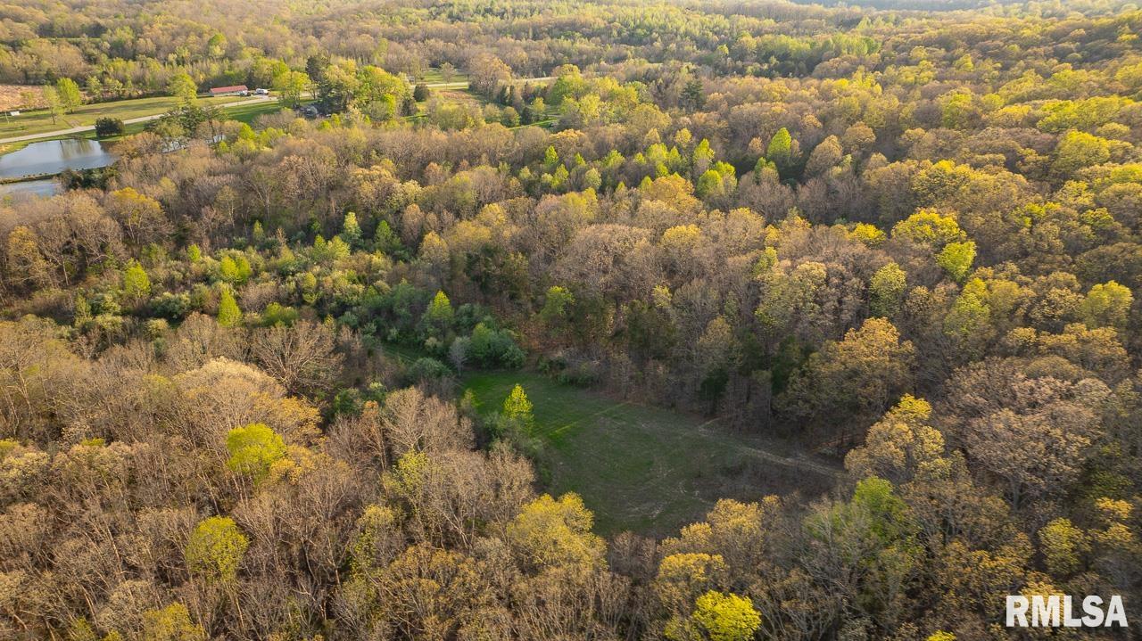 115 Whippoorwill Lane, Simpson, Illinois image 25