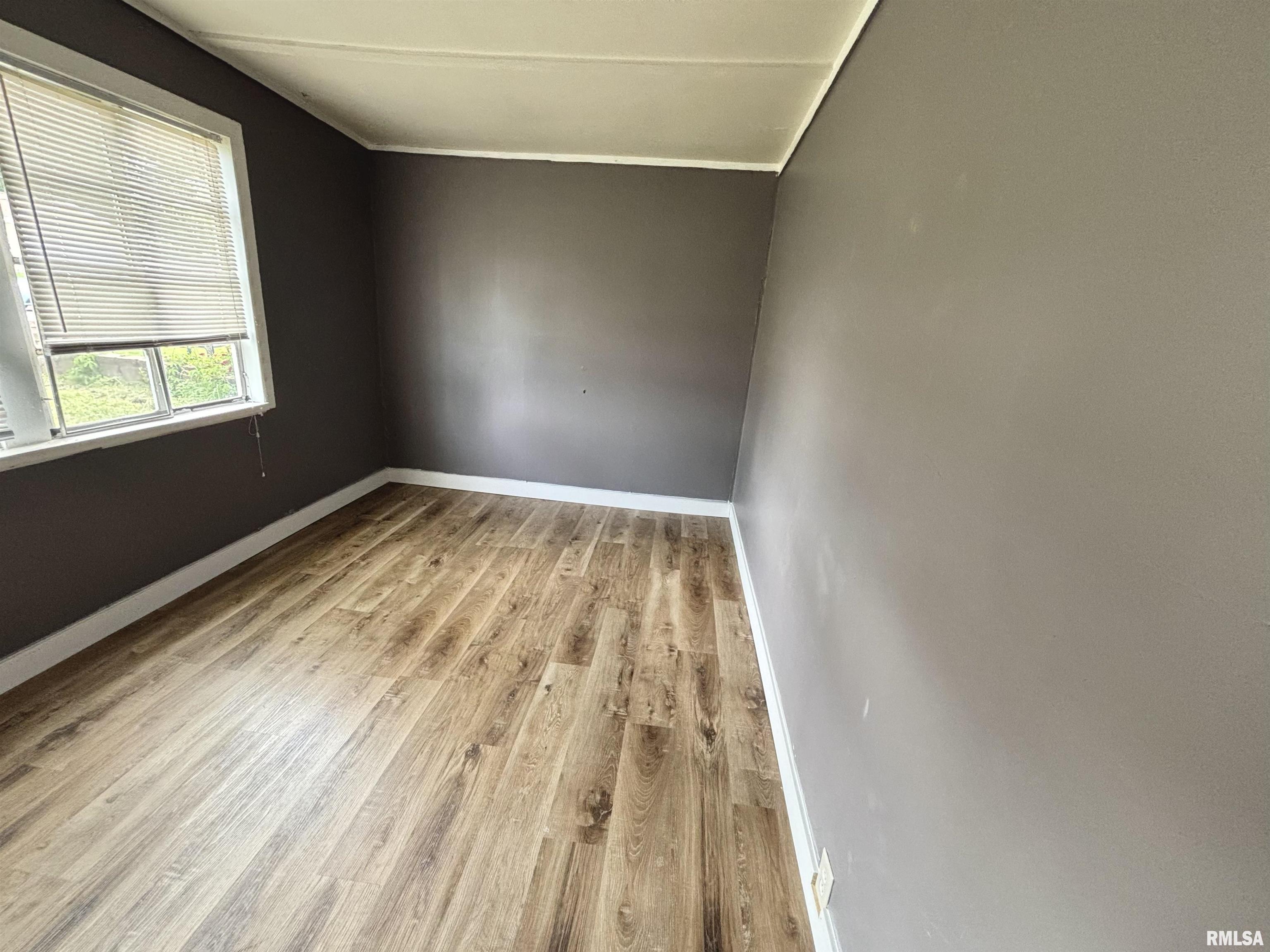 614 W Rigdon Street, Carbondale, Illinois image 5