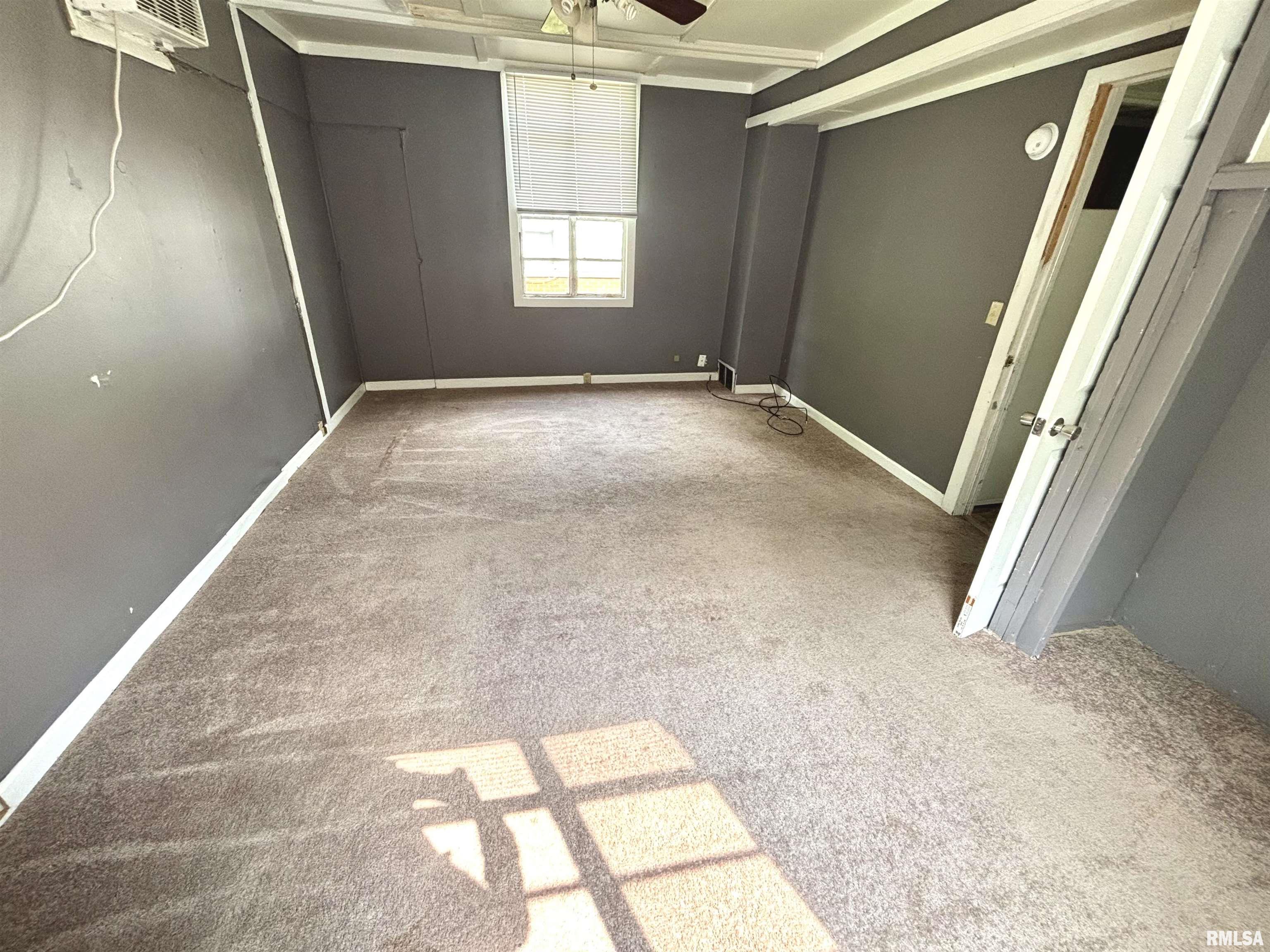 614 W Rigdon Street, Carbondale, Illinois image 9