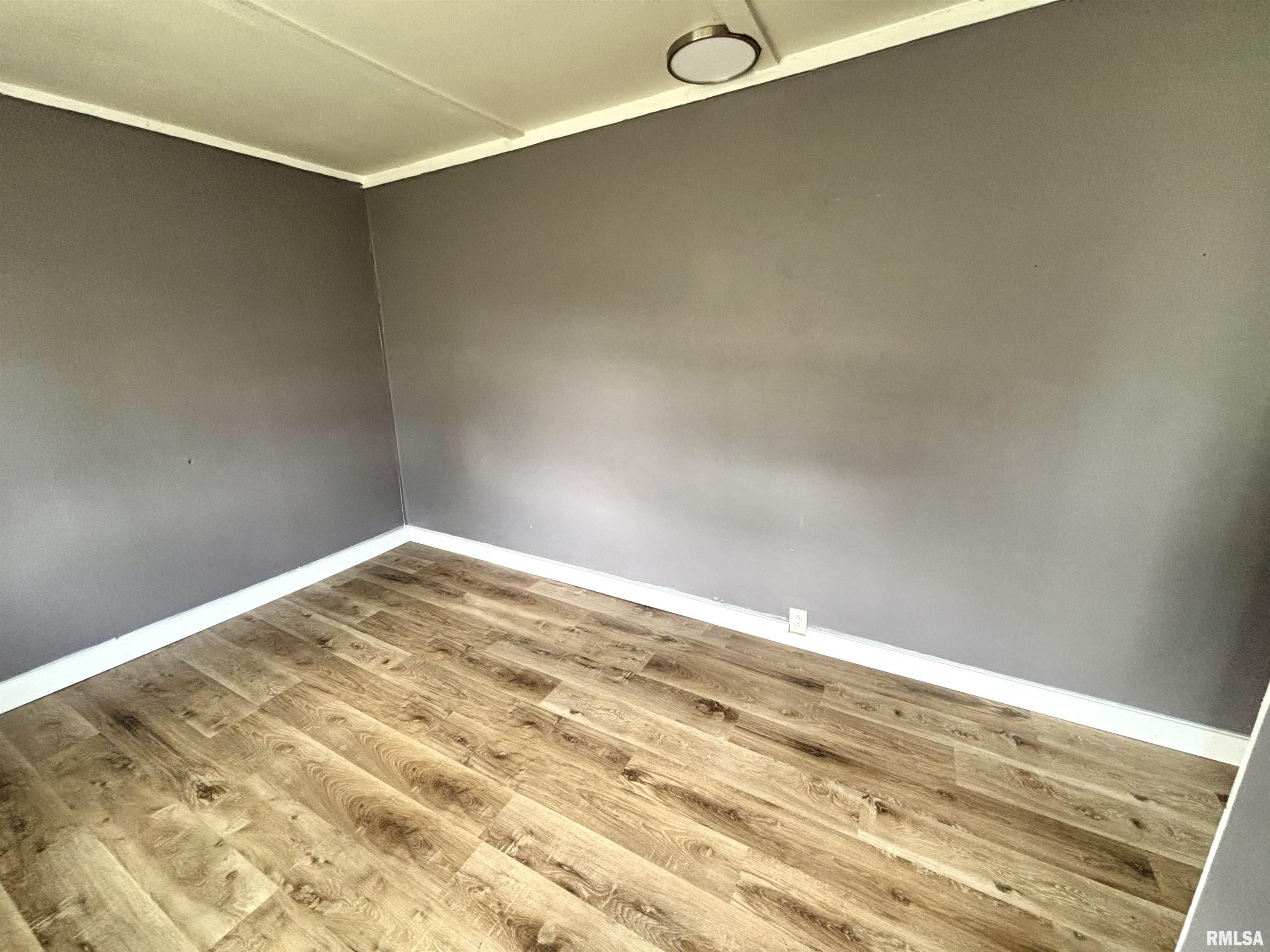 614 W Rigdon Street, Carbondale, Illinois image 12