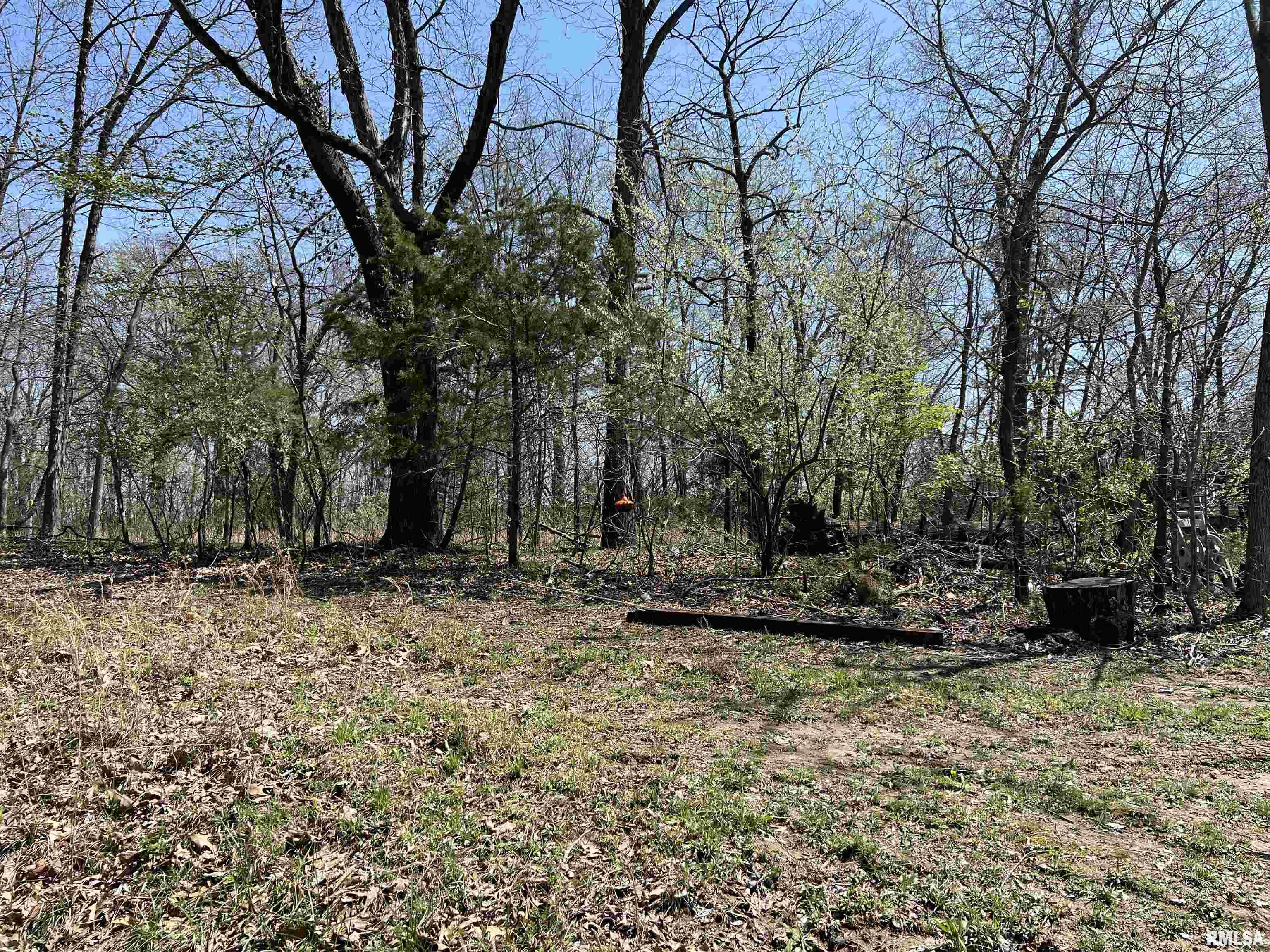 Lot 442 Thompson Drive, Goreville, Illinois image 2