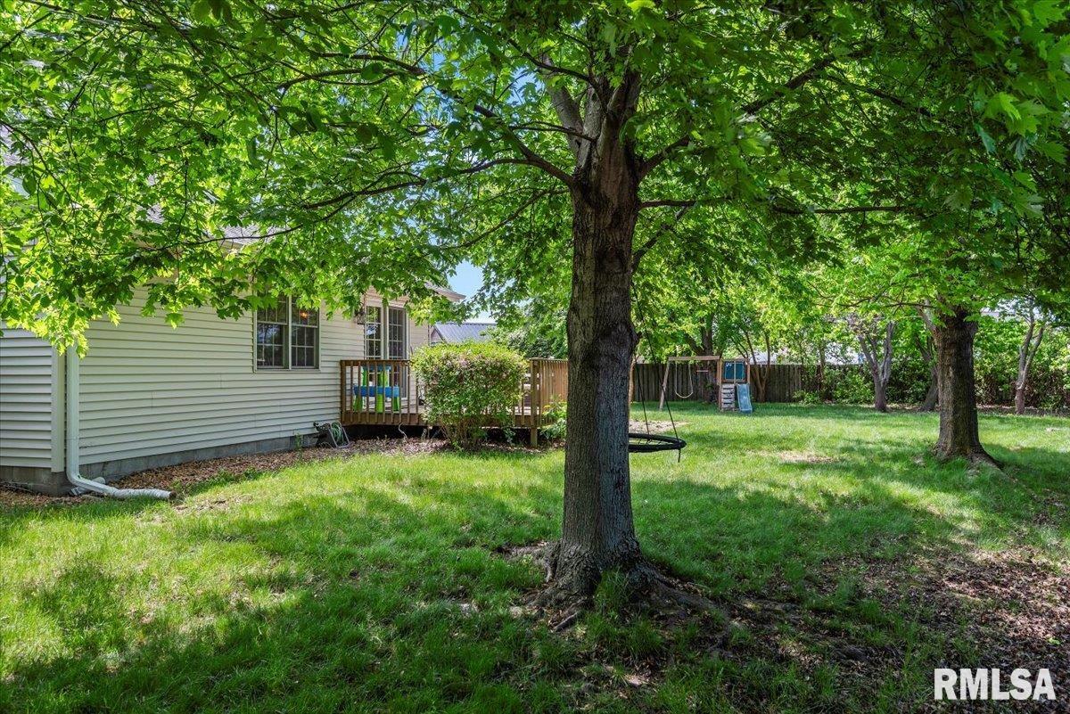 1213 Sugar Tree Court, Chatham, Illinois image 33