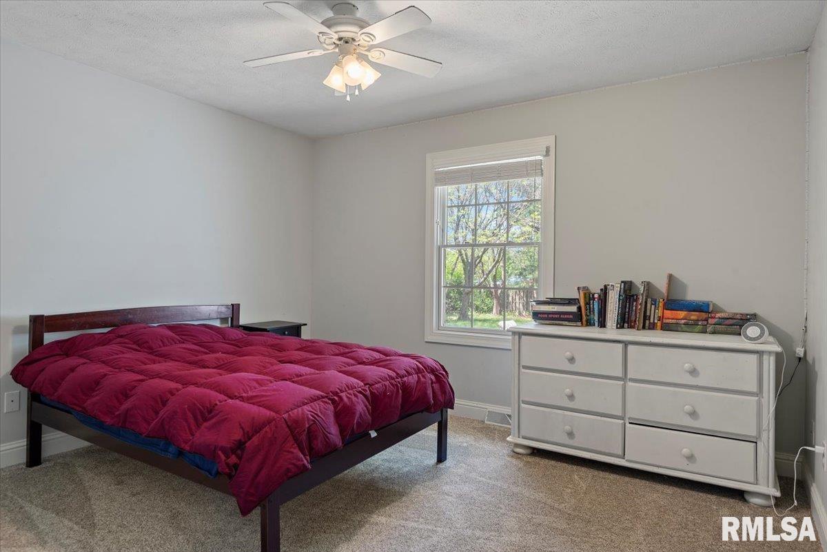 1213 Sugar Tree Court, Chatham, Illinois image 30