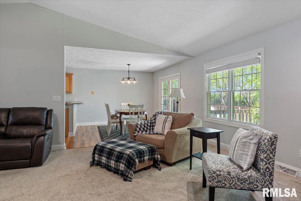 1213 Sugar Tree Court, Chatham, Illinois image 12