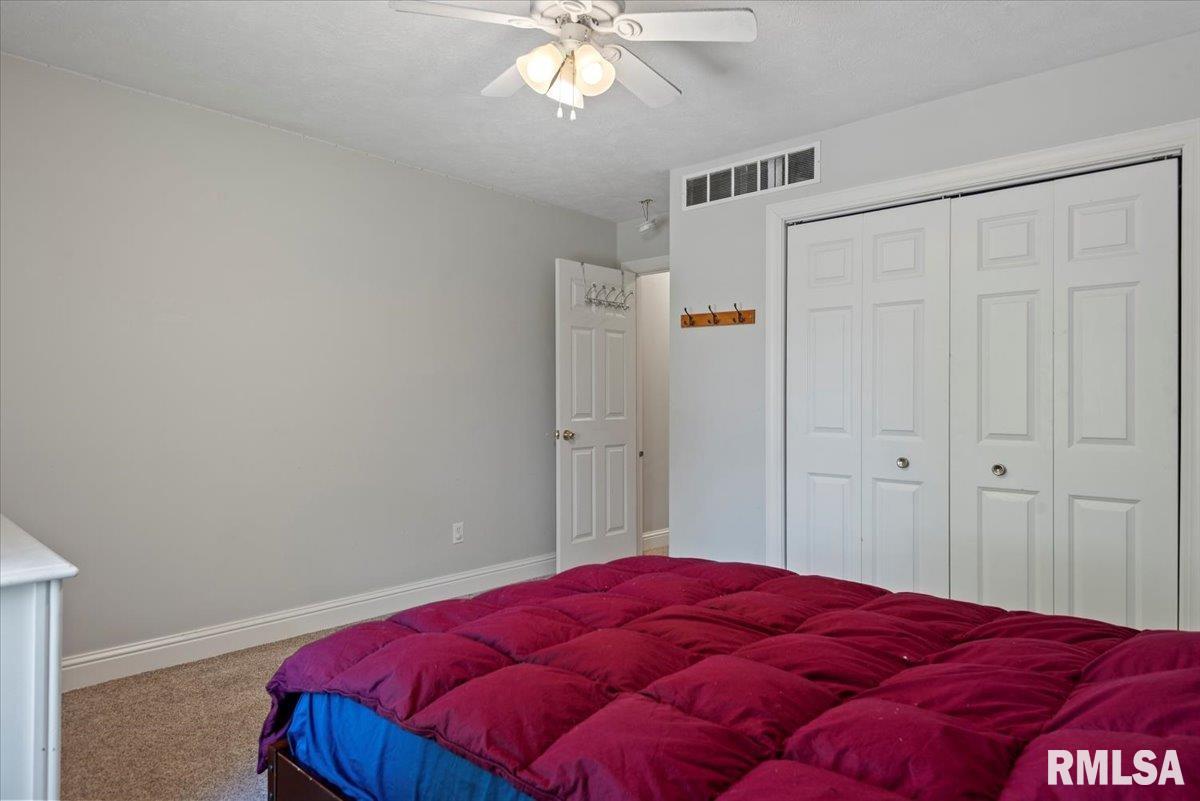 1213 Sugar Tree Court, Chatham, Illinois image 31