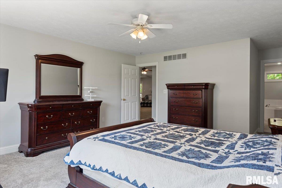 1213 Sugar Tree Court, Chatham, Illinois image 19