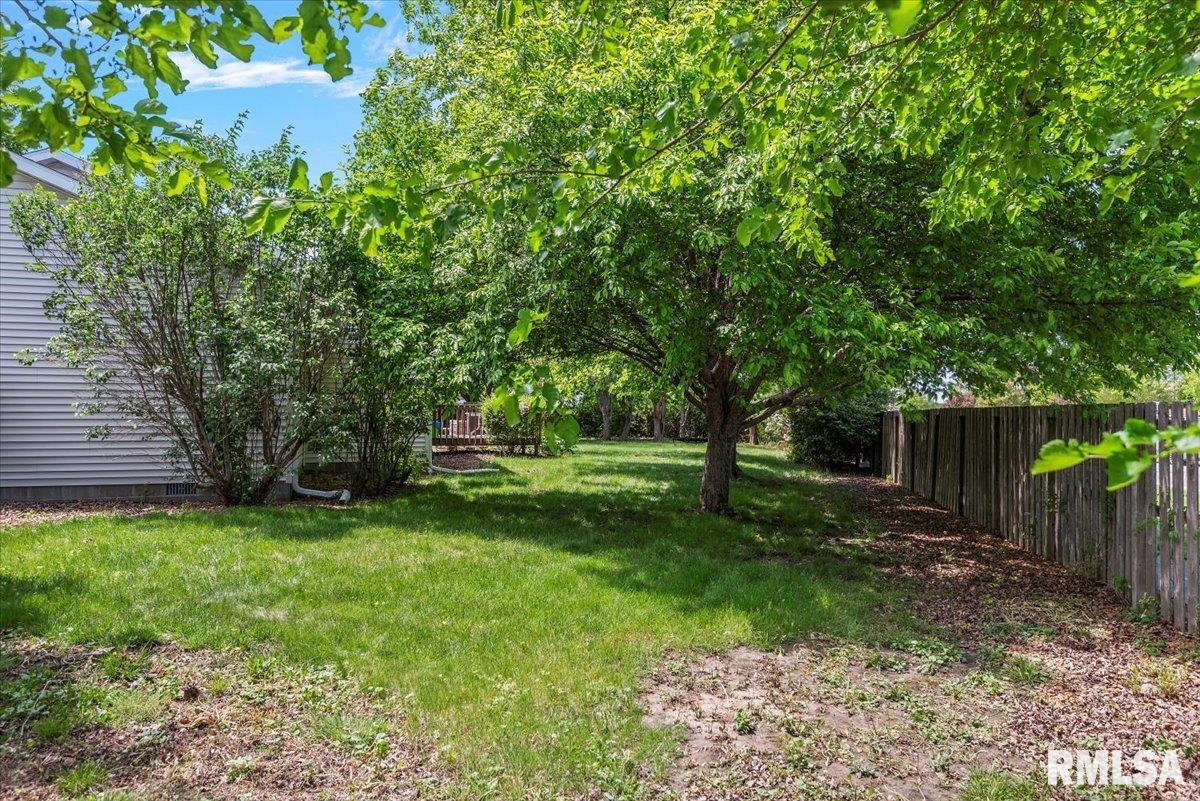1213 Sugar Tree Court, Chatham, Illinois image 32